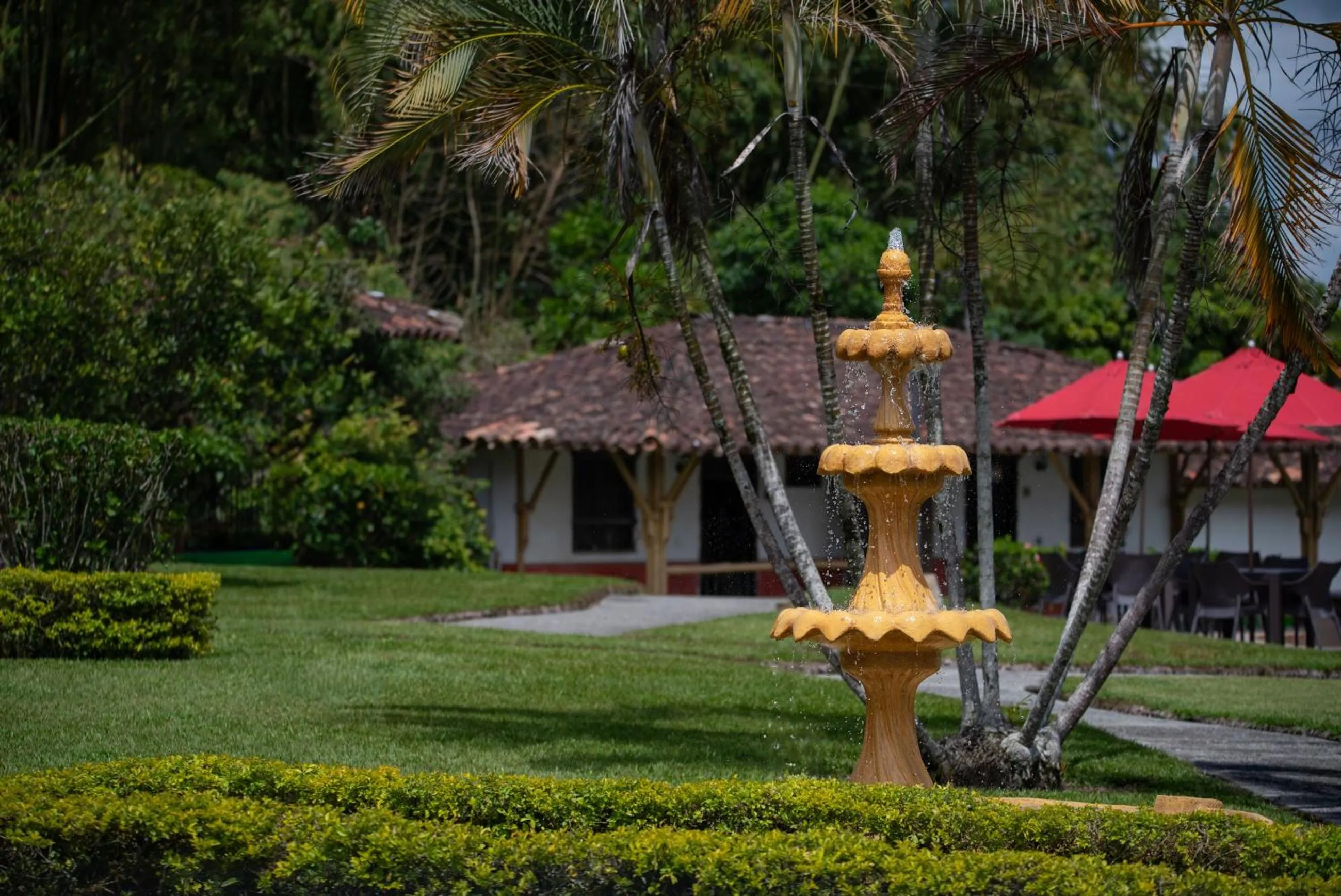 Natural landscape in Hotel Campestre Montecarlo