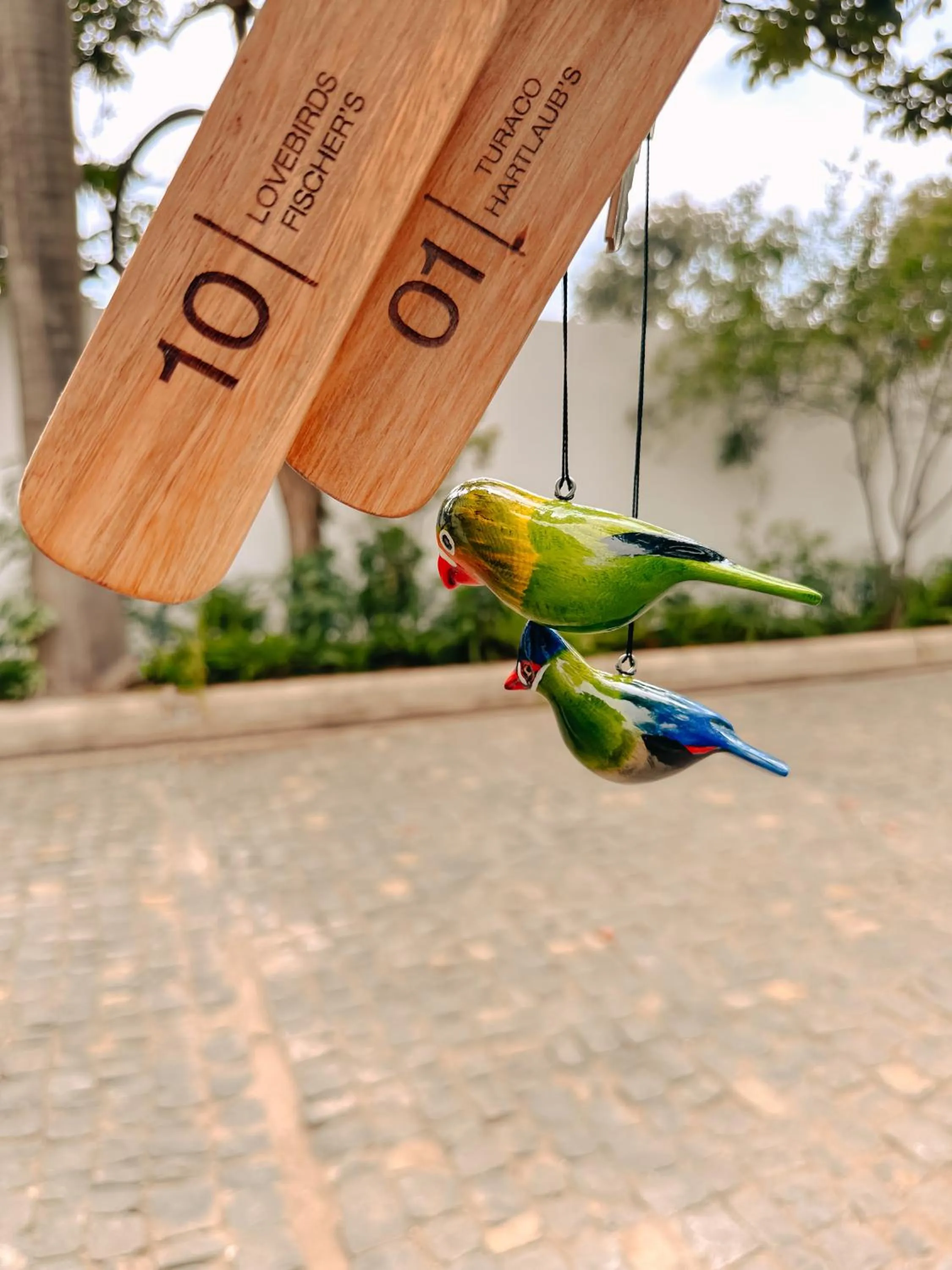 Property building in Brubru Lodge