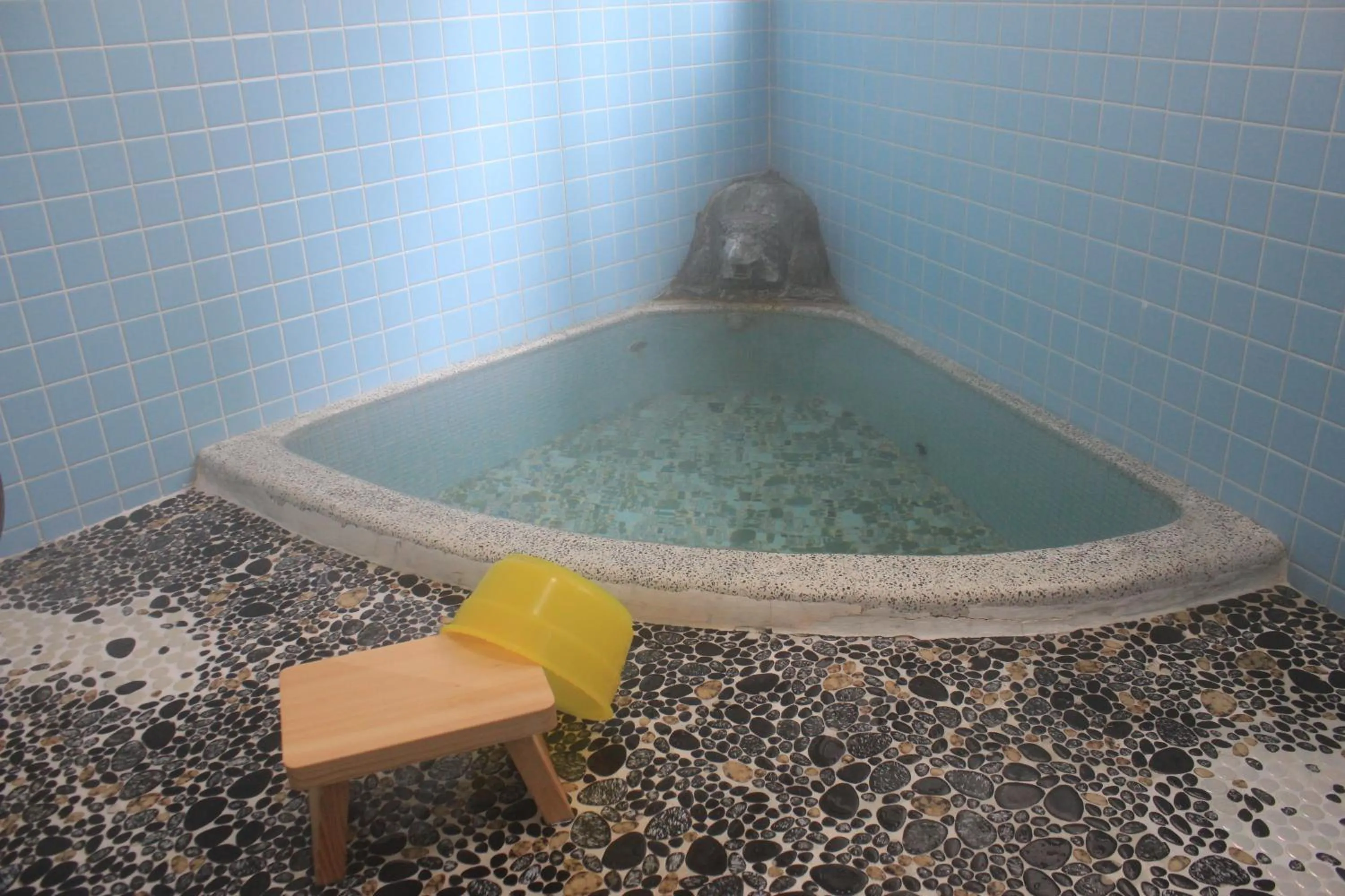 Spa and wellness centre/facilities in Nozawa Dream