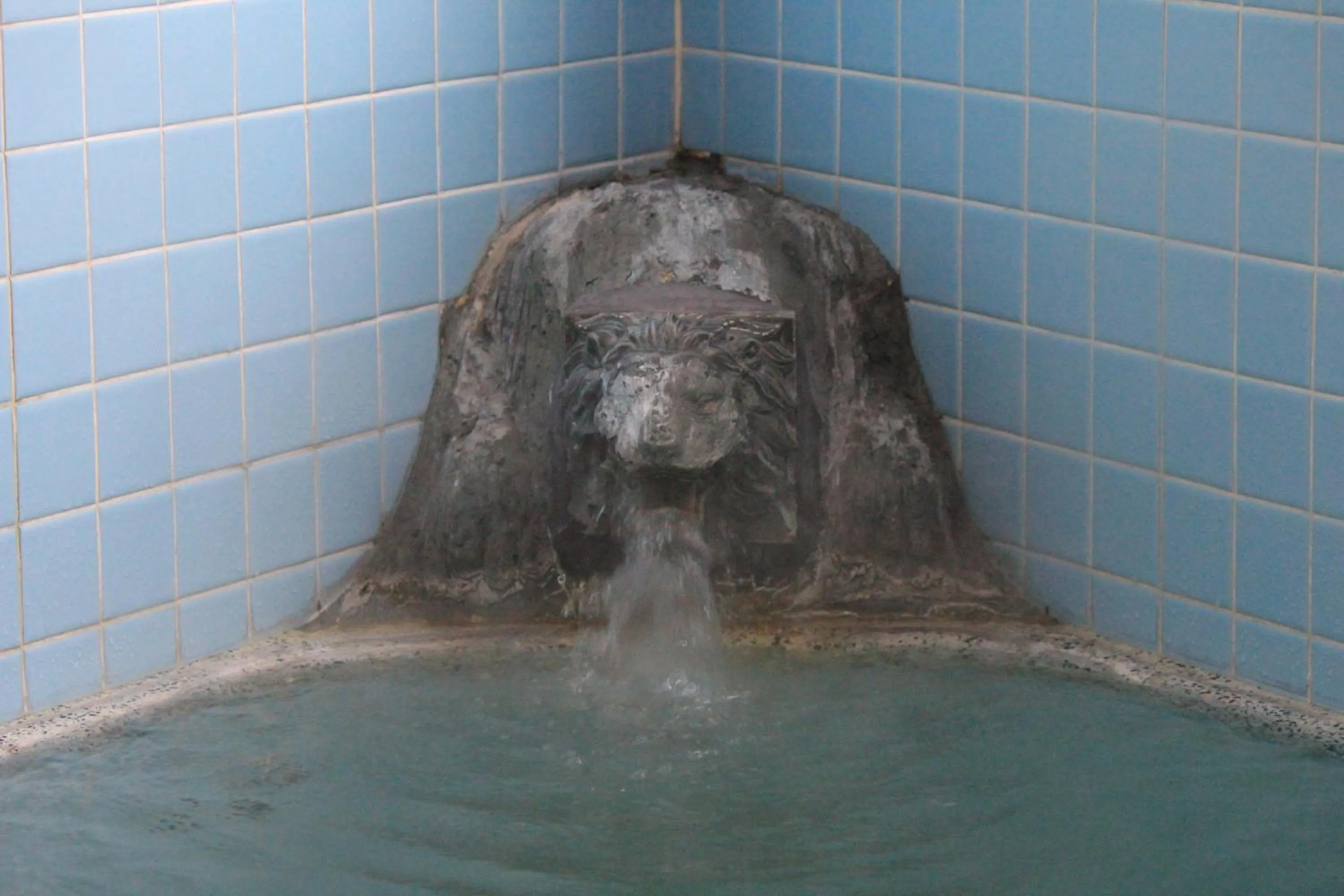 Other in Nozawa Dream