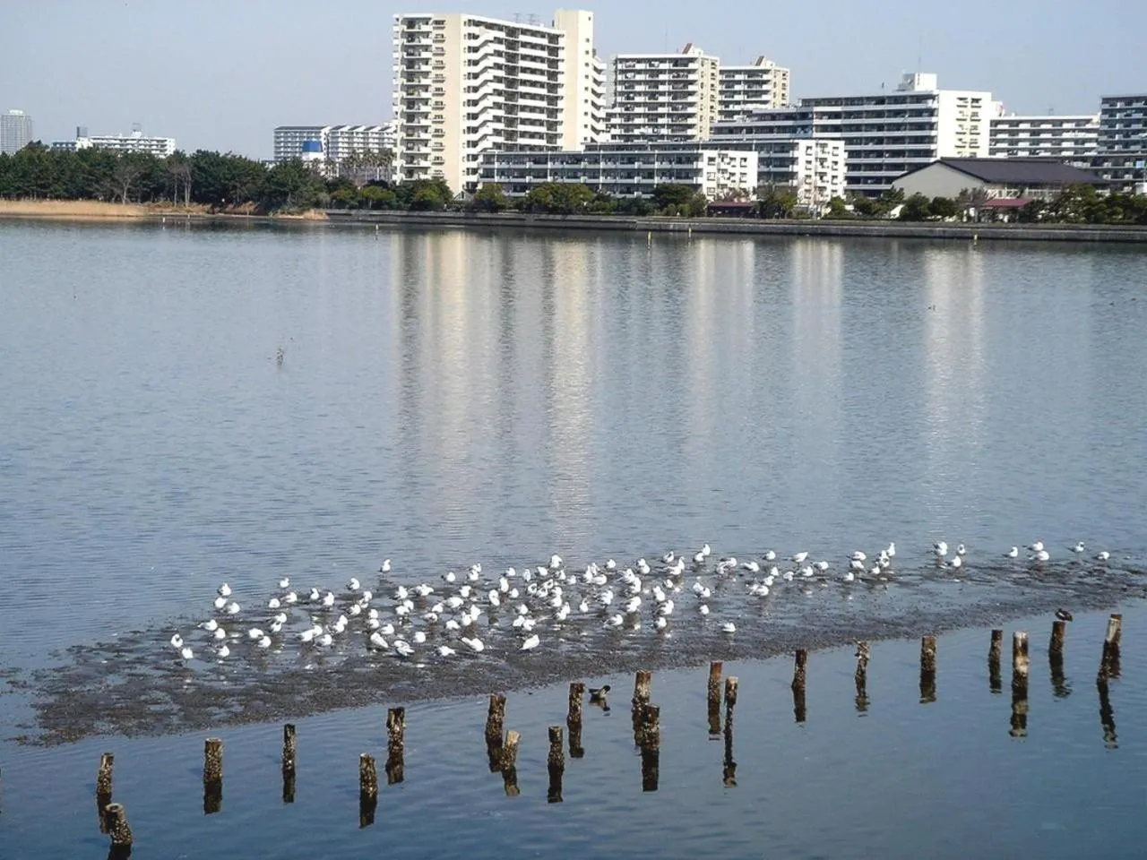 Nearby landmark in Hotel Lei