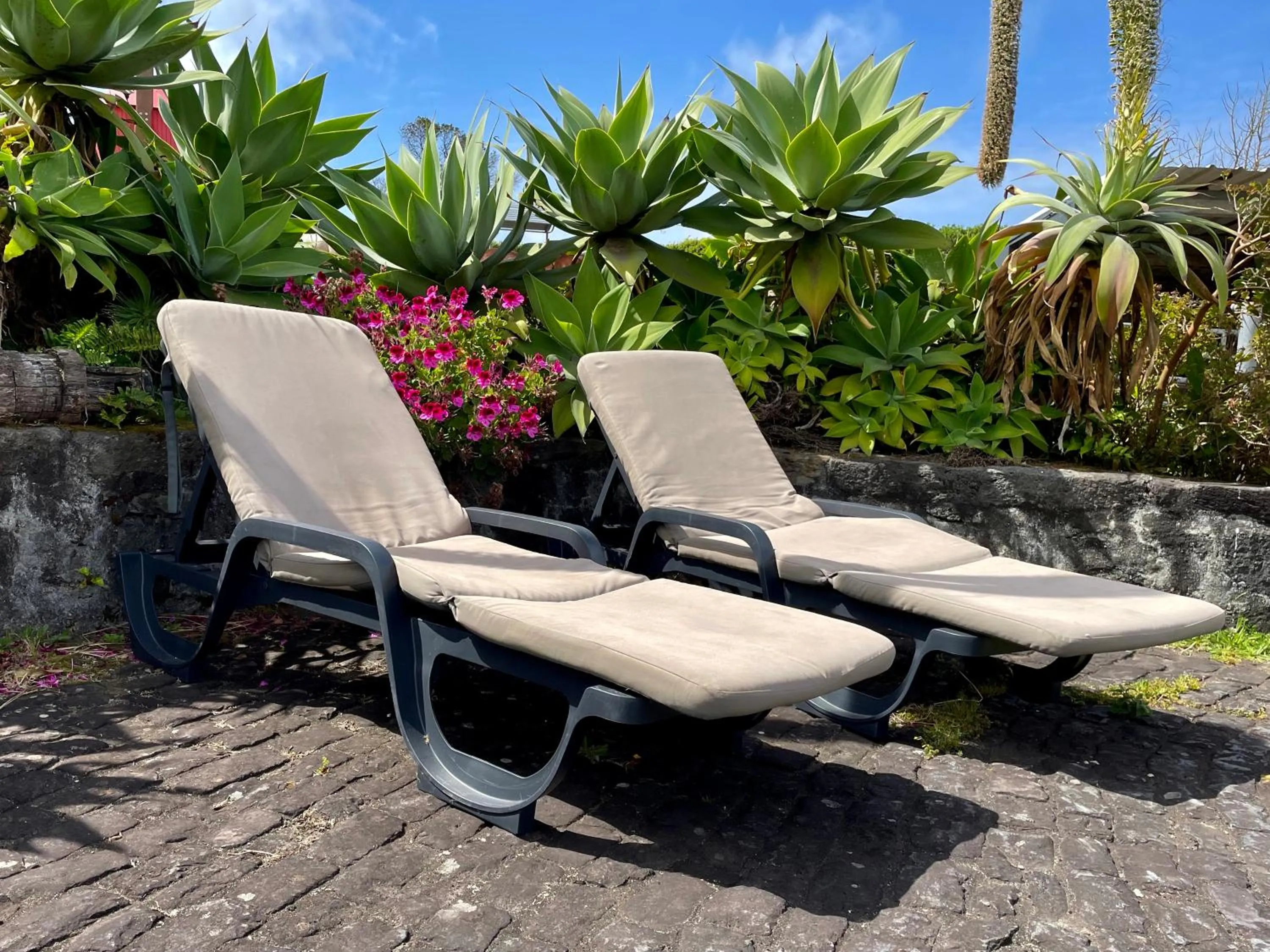 Garden in Pátio Ecolodge