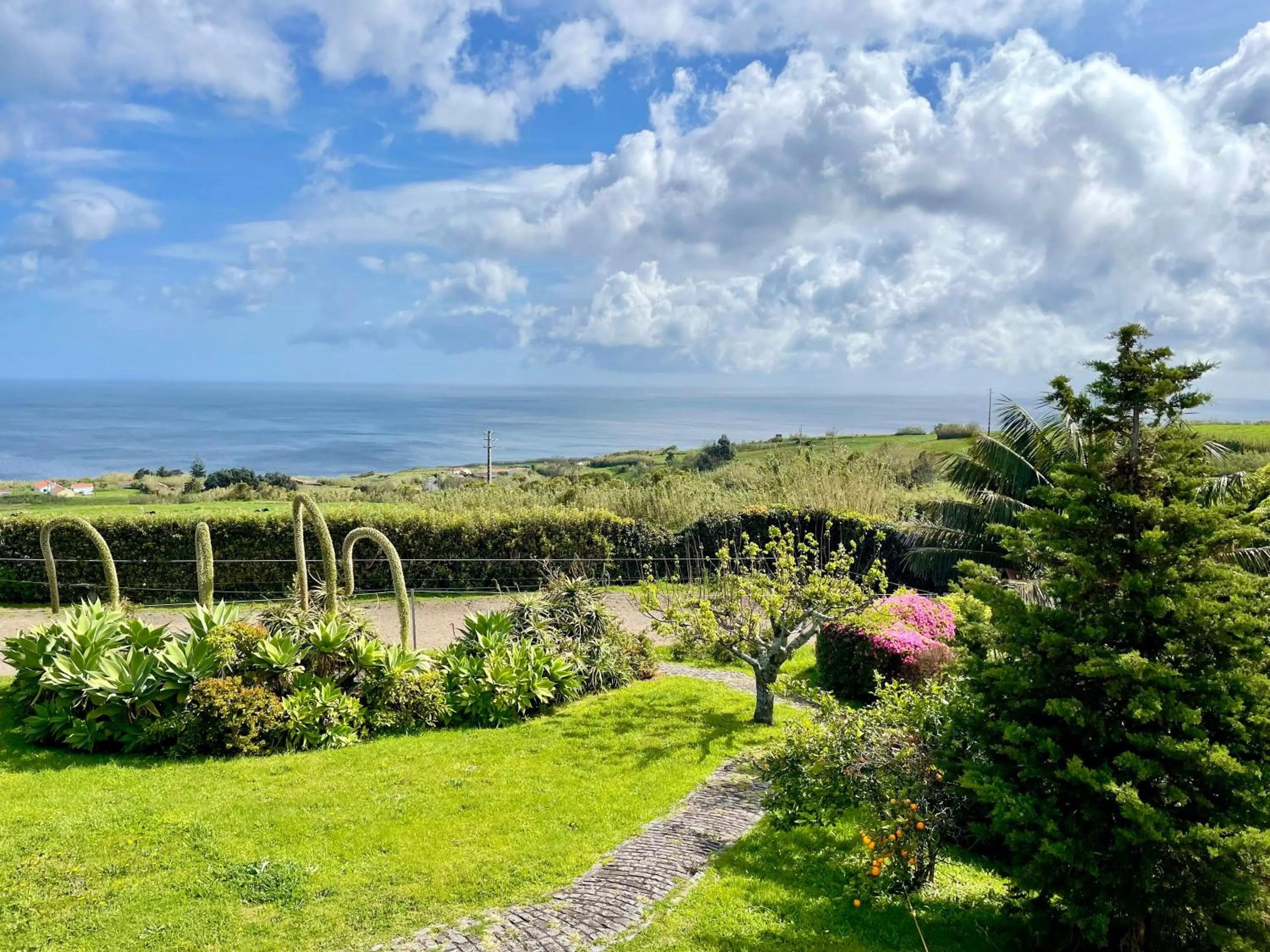 Garden view in Pátio Ecolodge