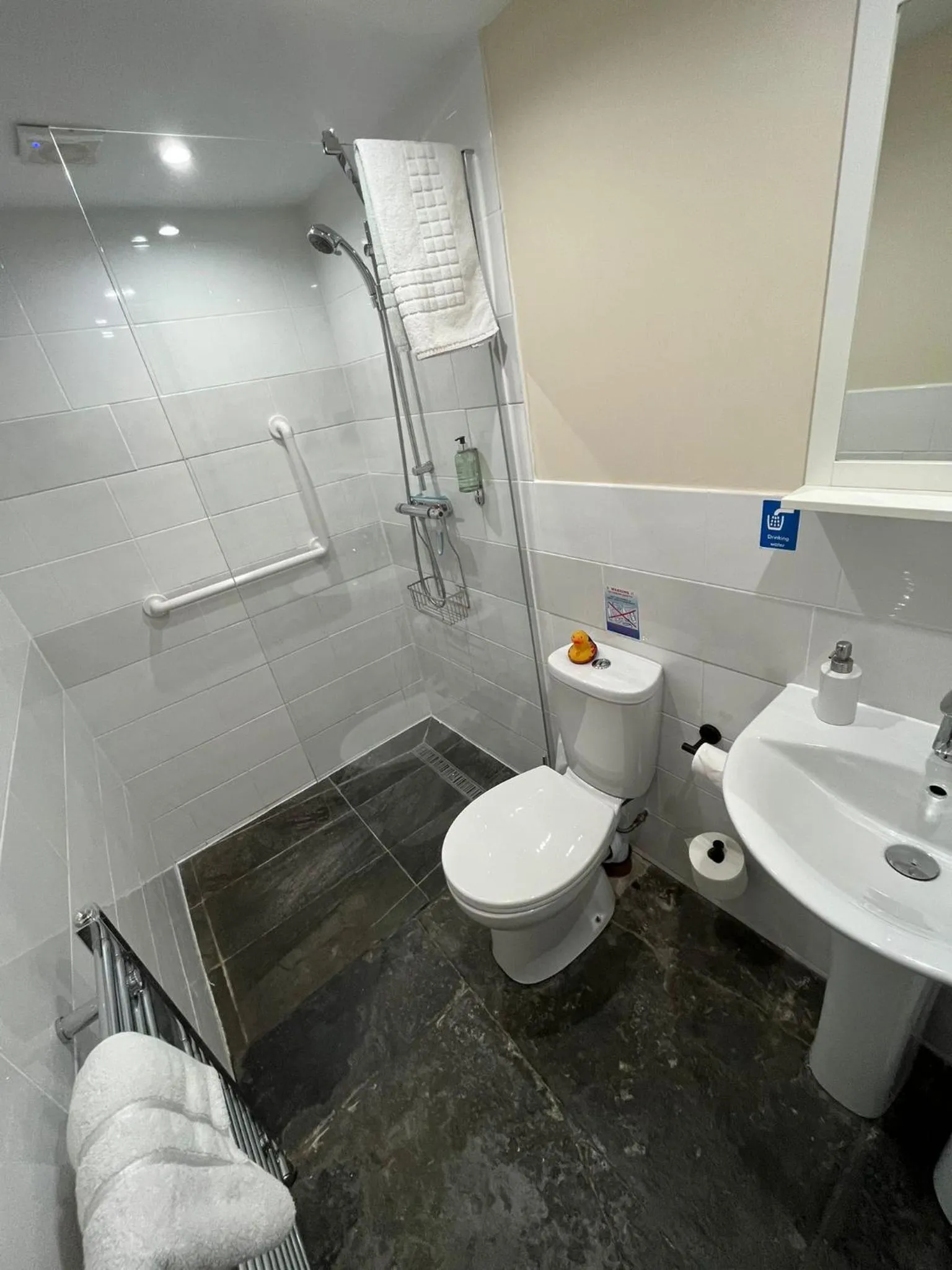 Toilet in Old Manor House