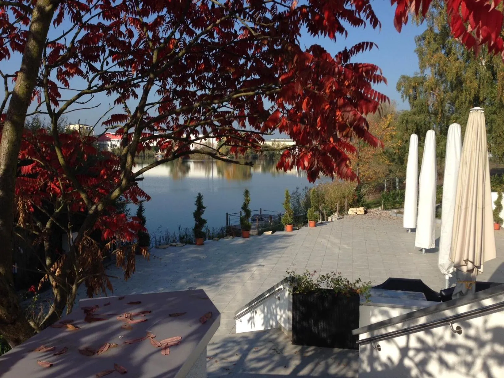 Natural landscape in Seehotel Forst