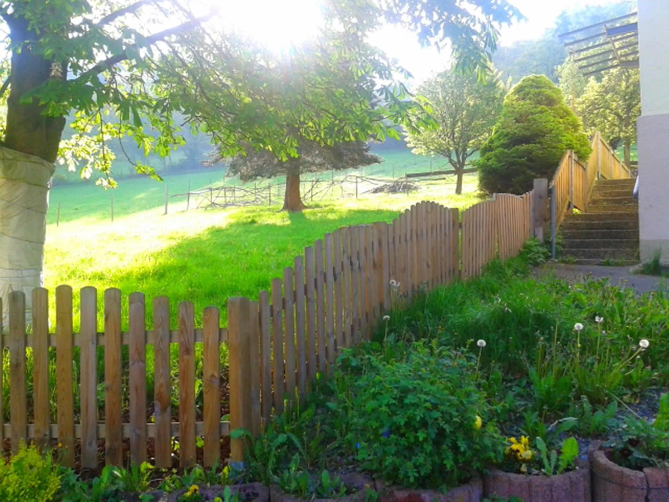 Garden view in Hotel Klinger