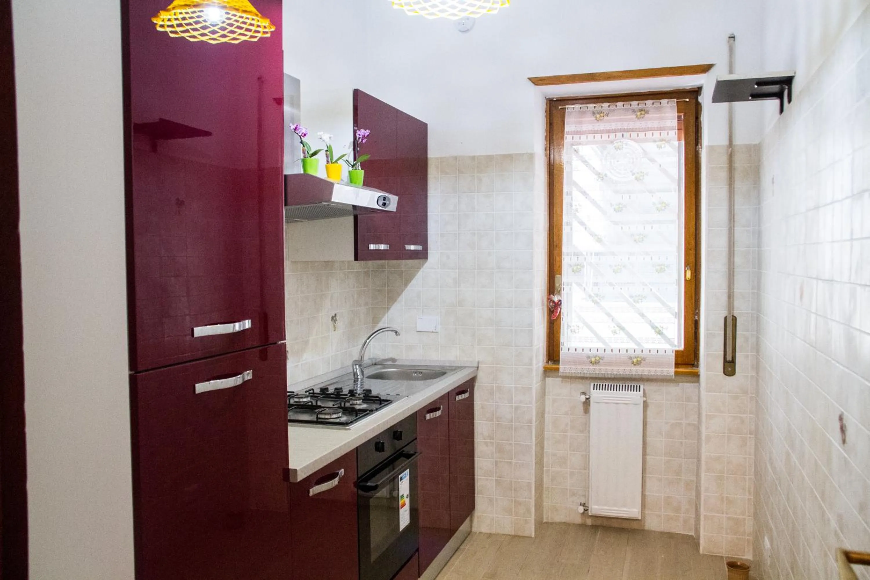 Decorative detail in Domus Romae