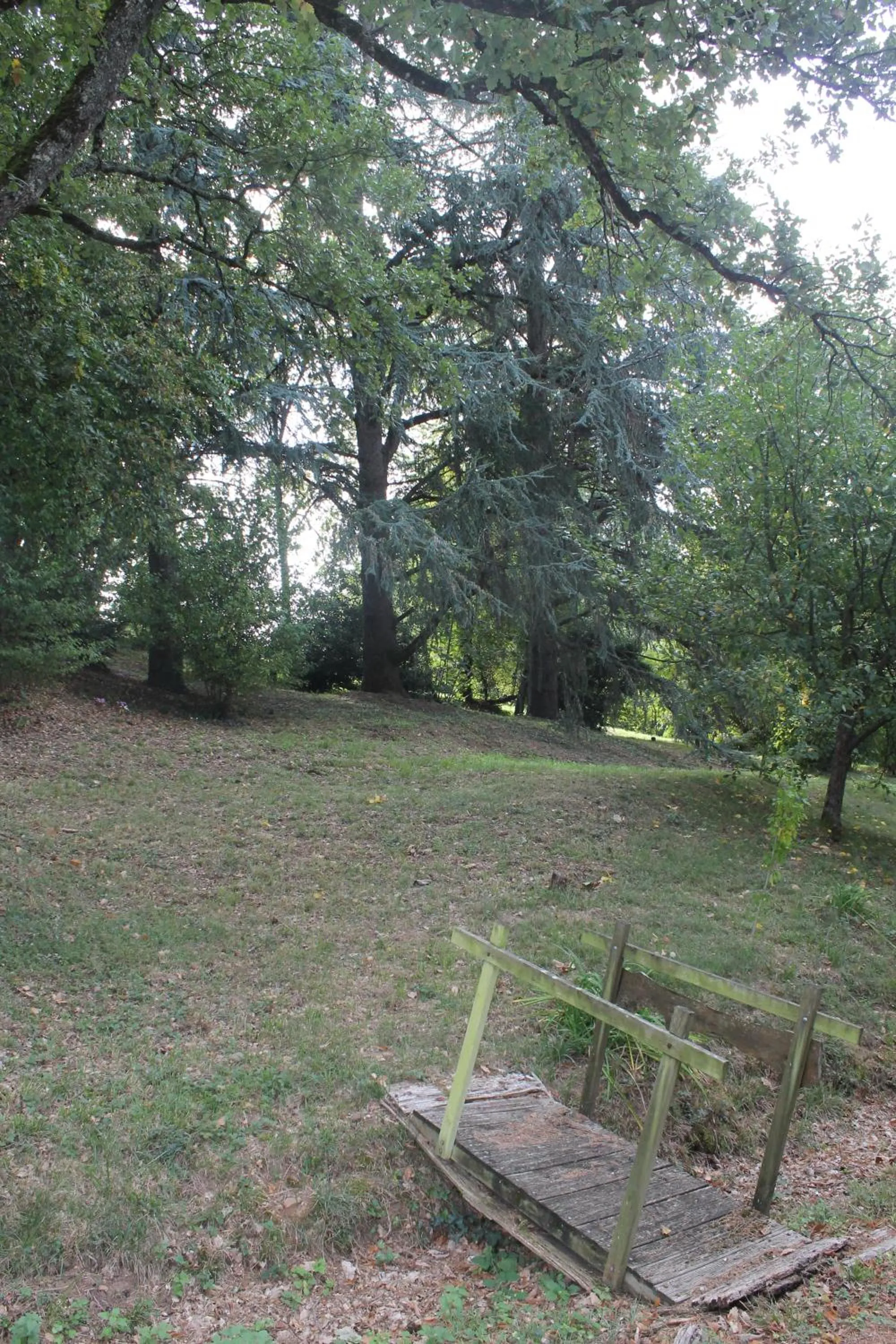 Natural landscape in Les Chambres d'Hôtes du Rouyre