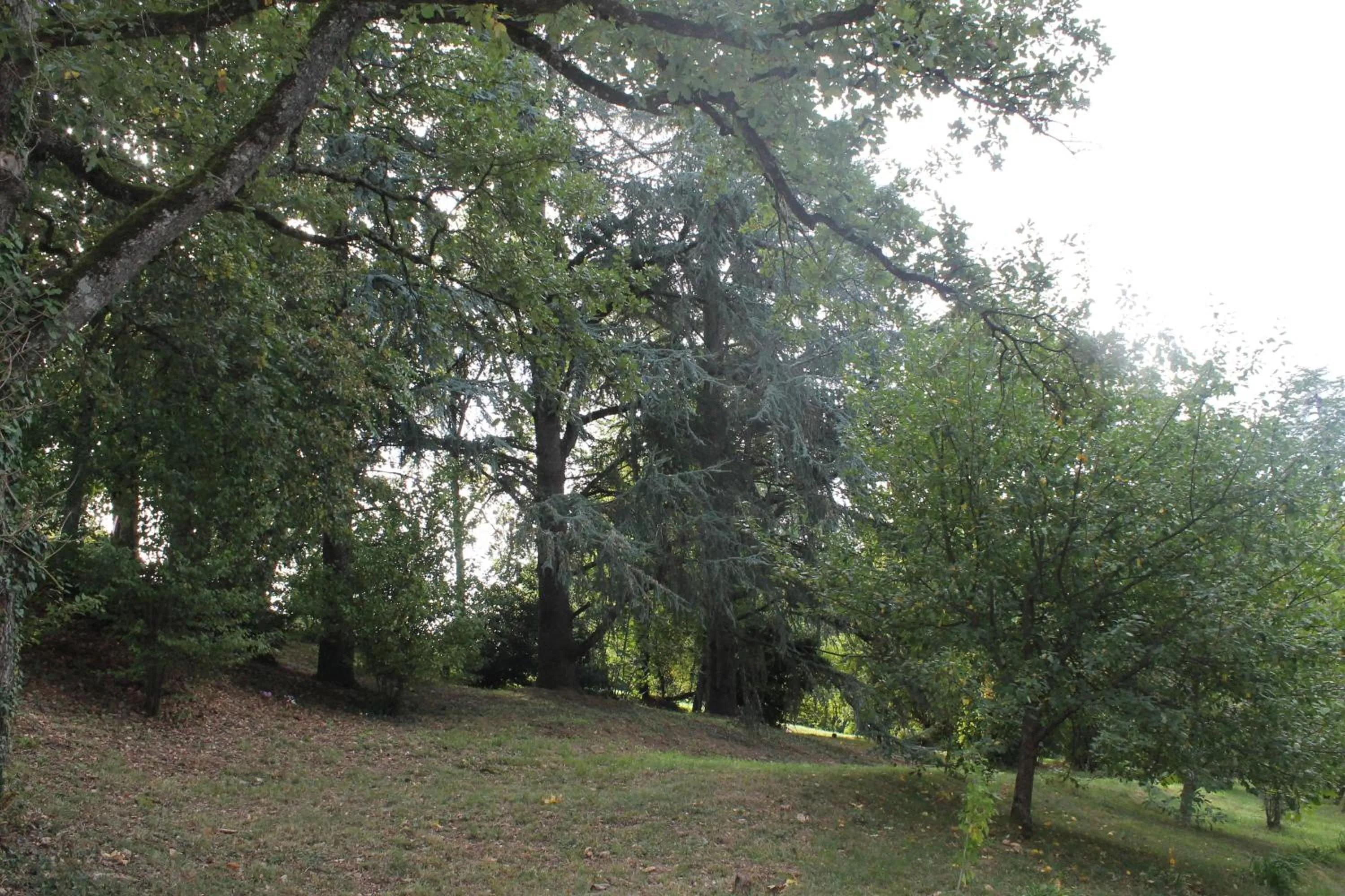 Garden in Les Chambres d'Hôtes du Rouyre