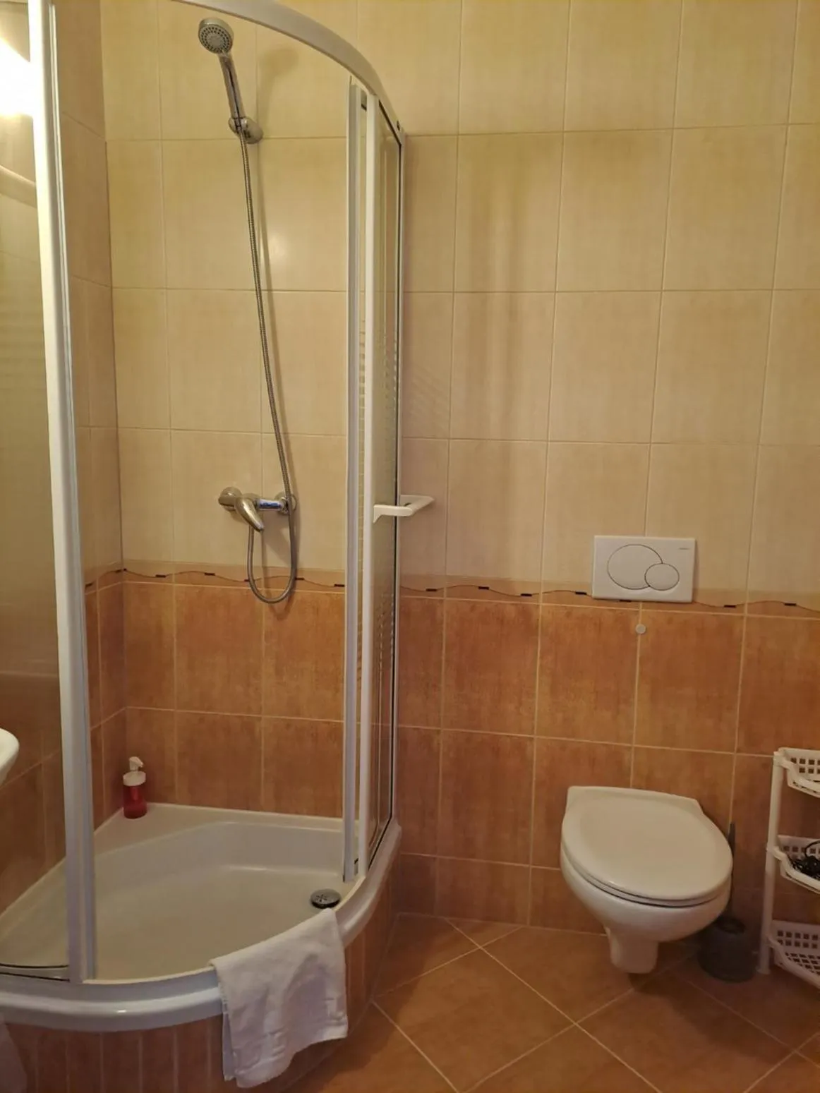 Shower in Willa Wisienka