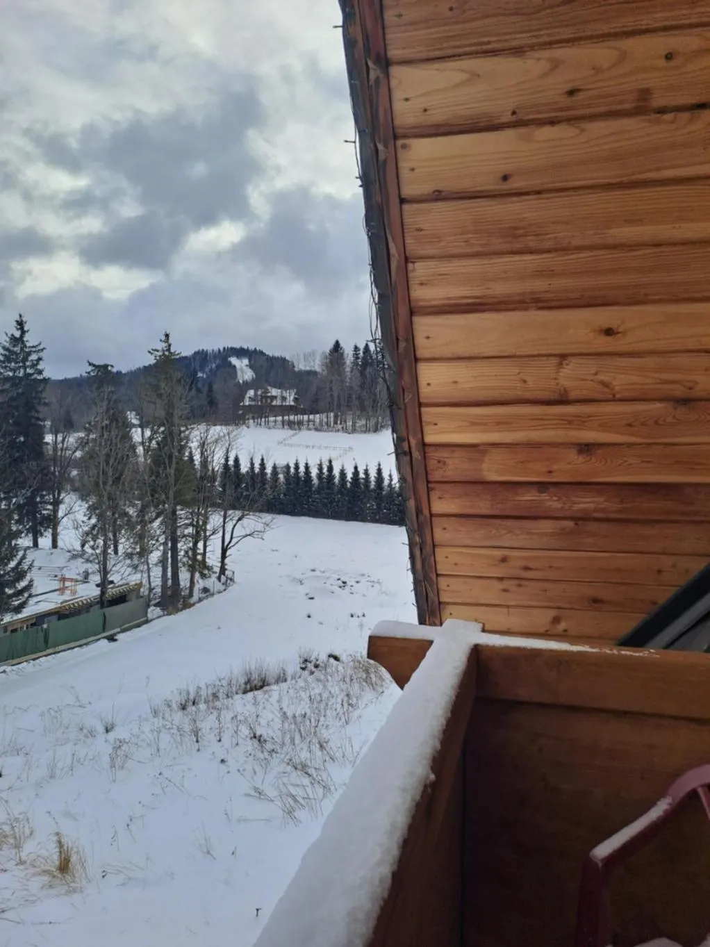 Winter in Willa Wisienka