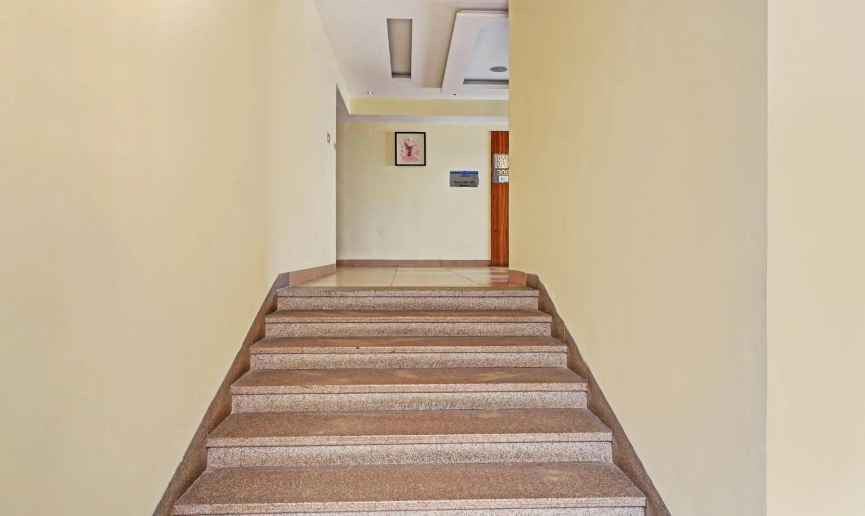 Area and facilities in Hotel Park N