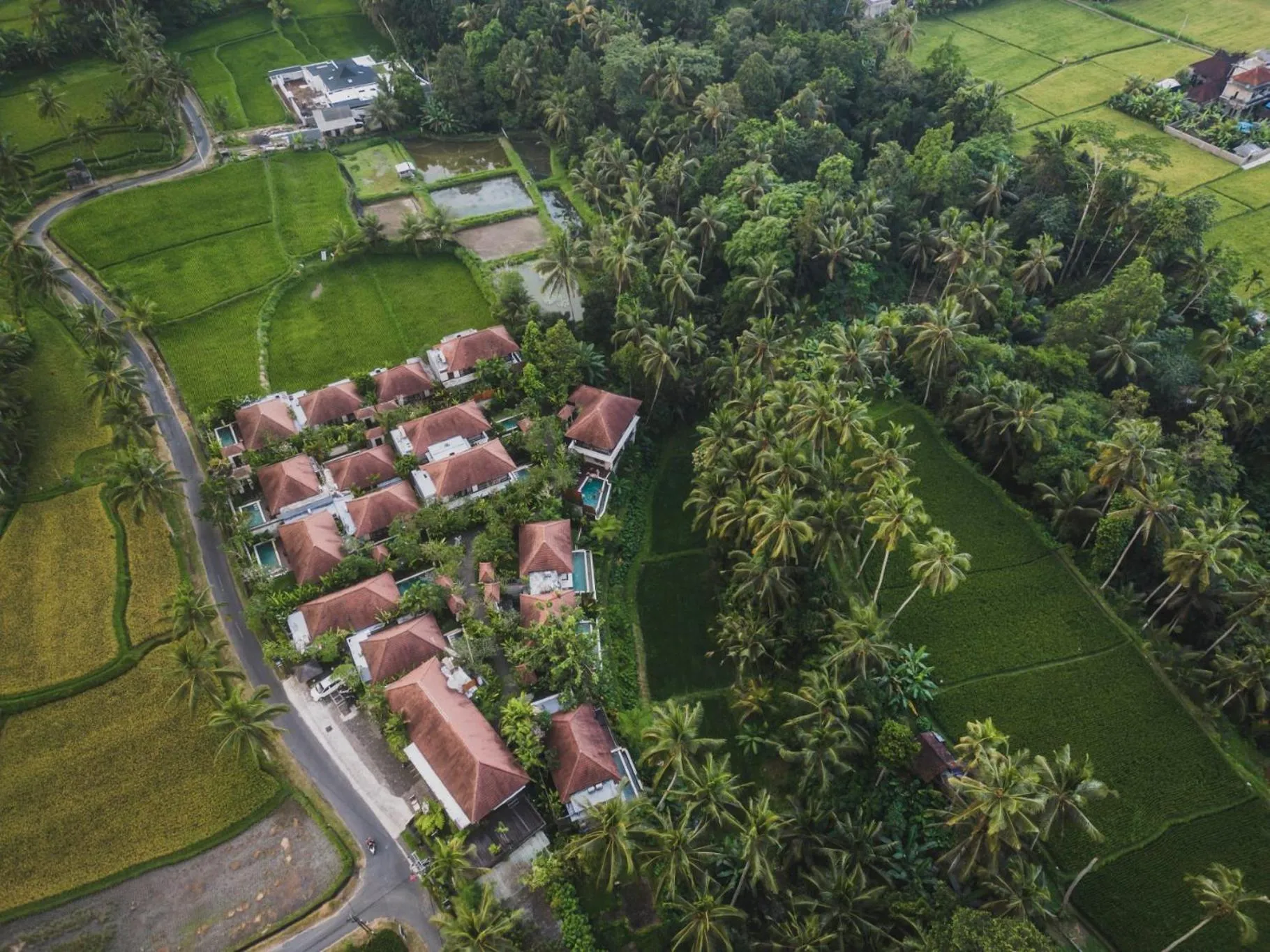 View (from property/room) in Dedary Resort & Spa Ubud by Ini Vie Hospitality