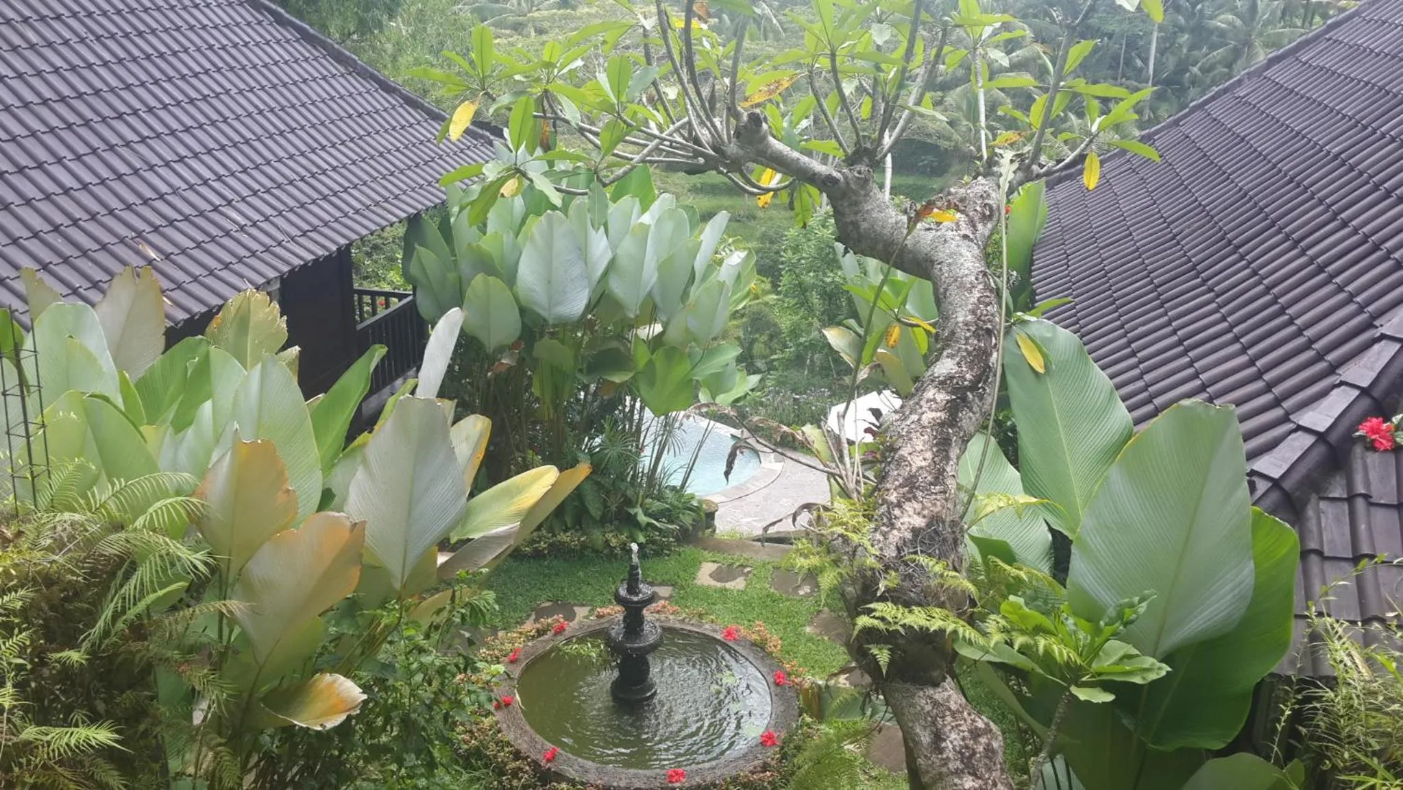 Property building in Villa Wedang