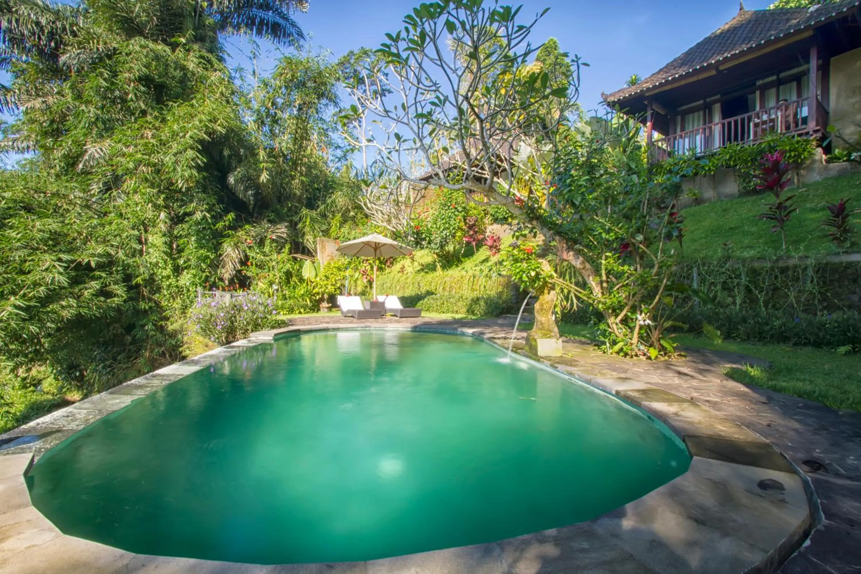 Swimming pool in Villa Wedang