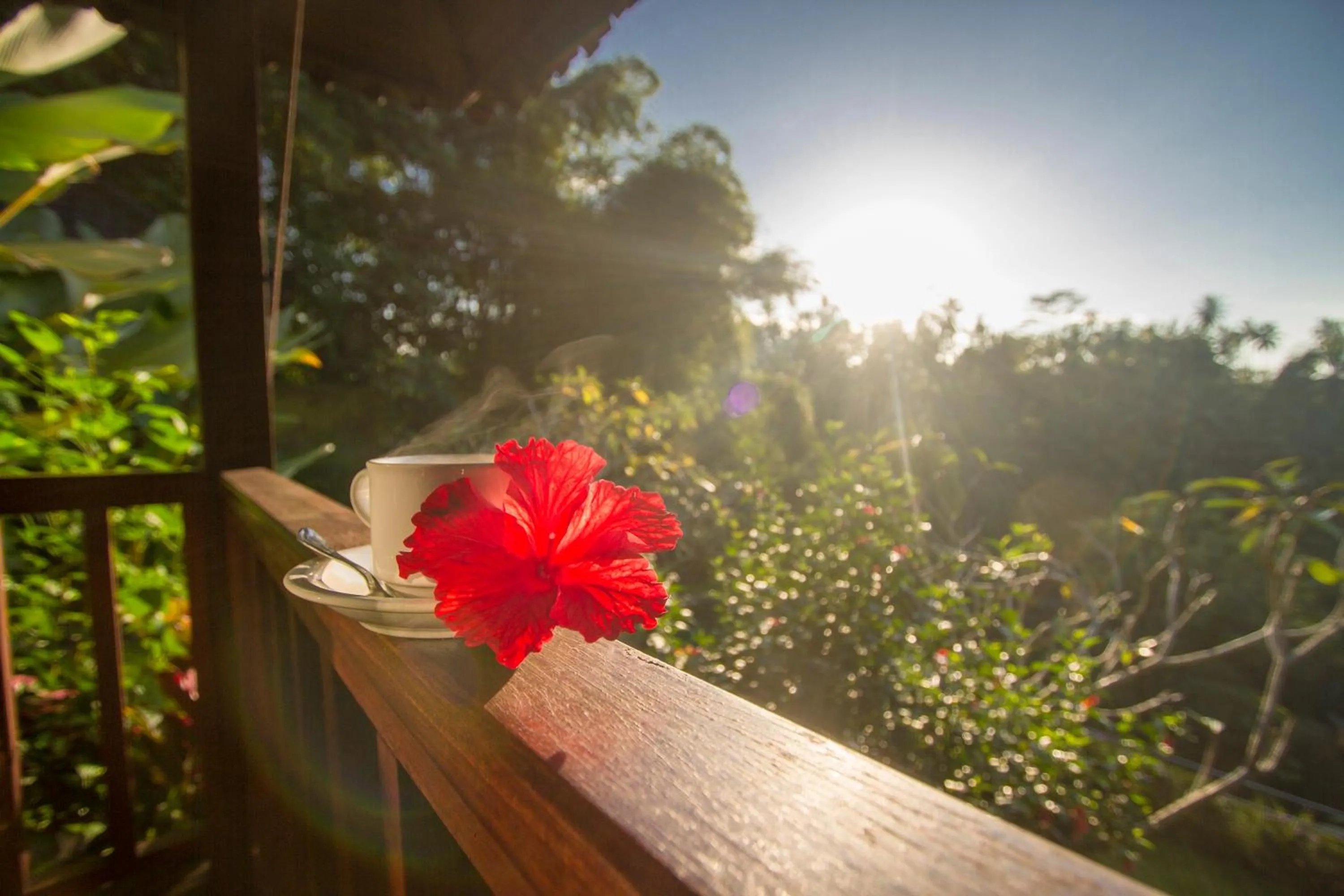 Balcony/Terrace in Villa Wedang