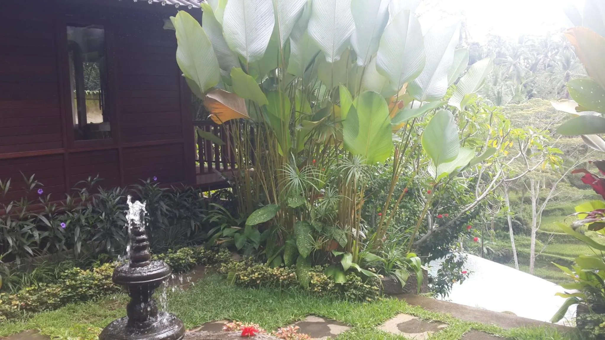 Property building in Villa Wedang