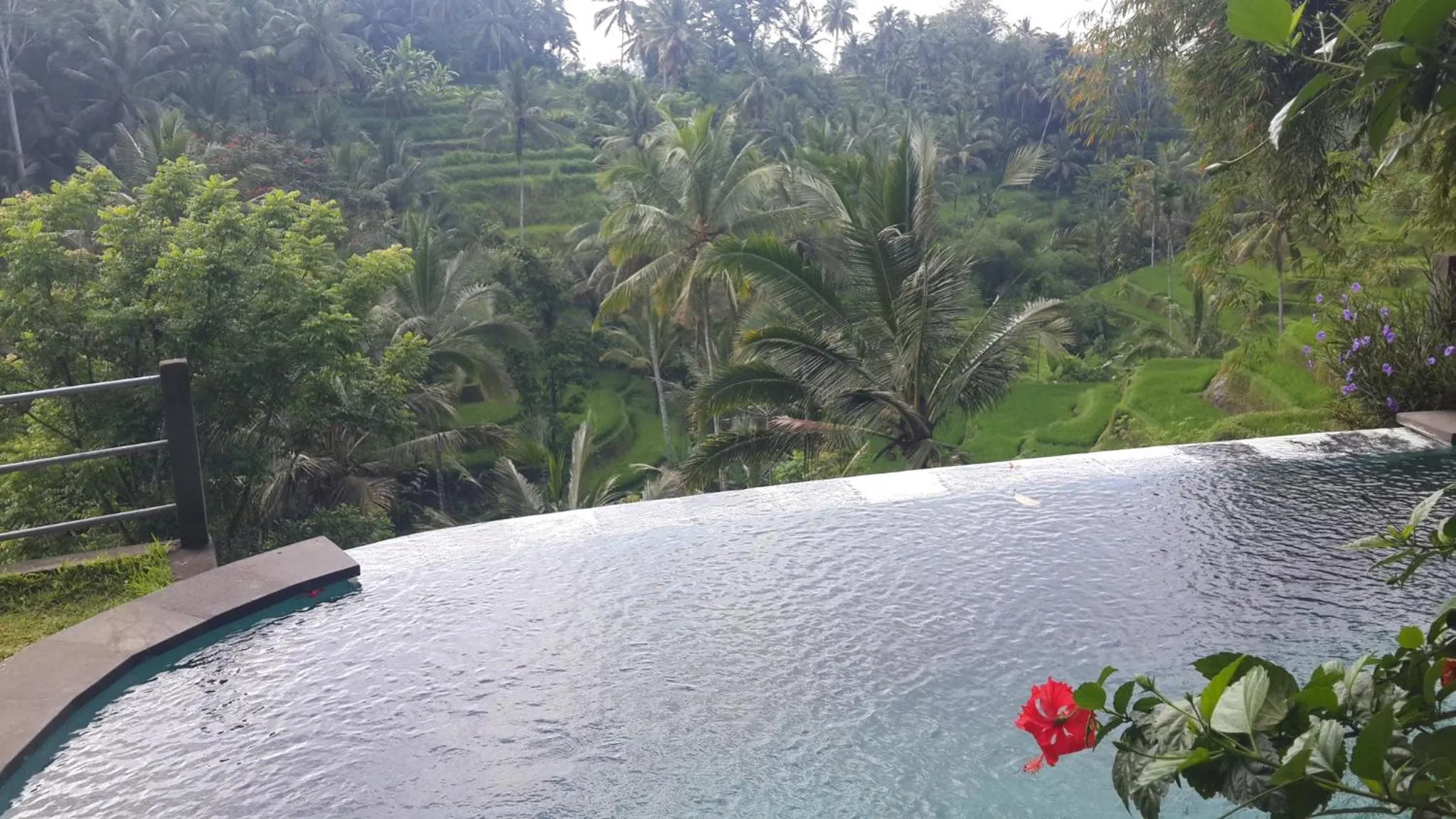 Natural landscape in Villa Wedang