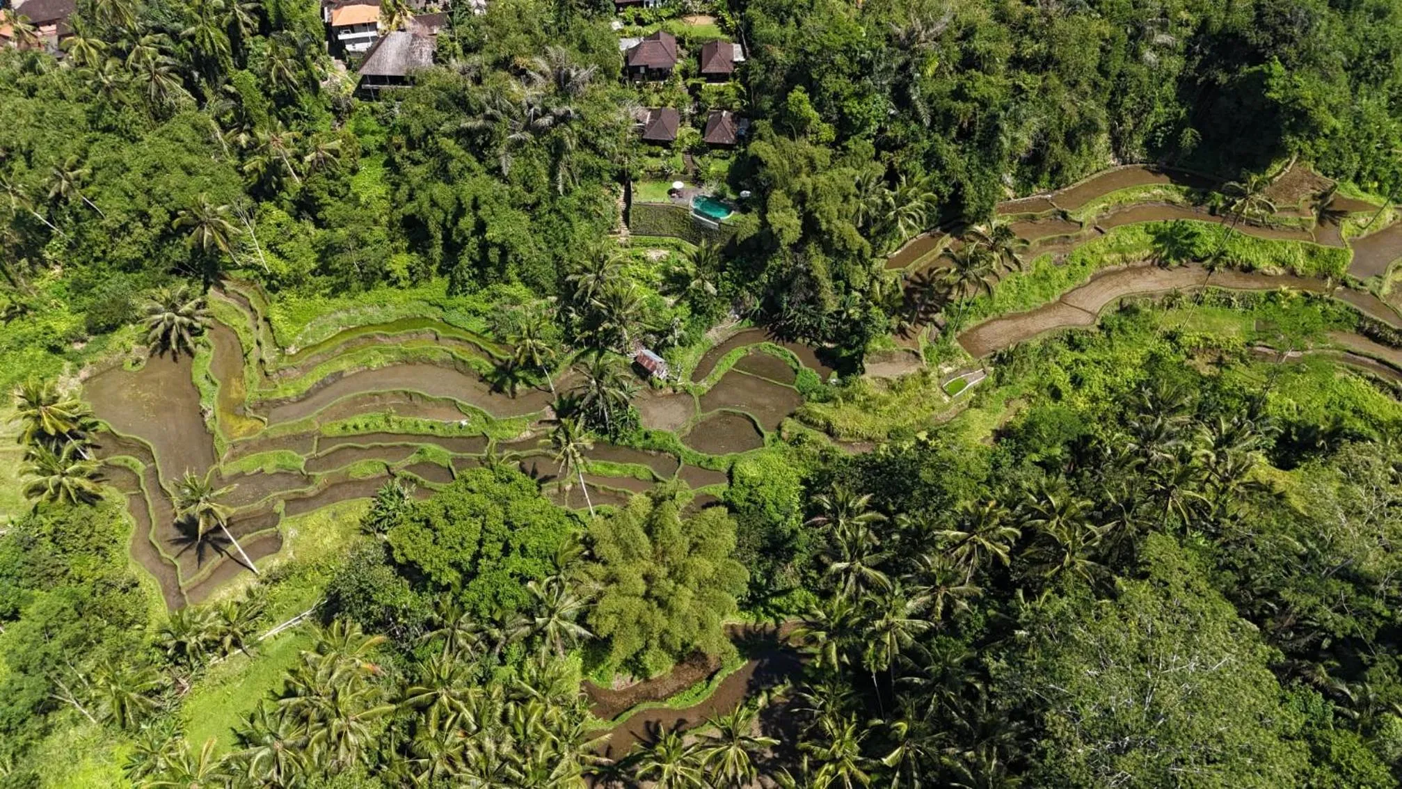 View (from property/room) in Villa Wedang