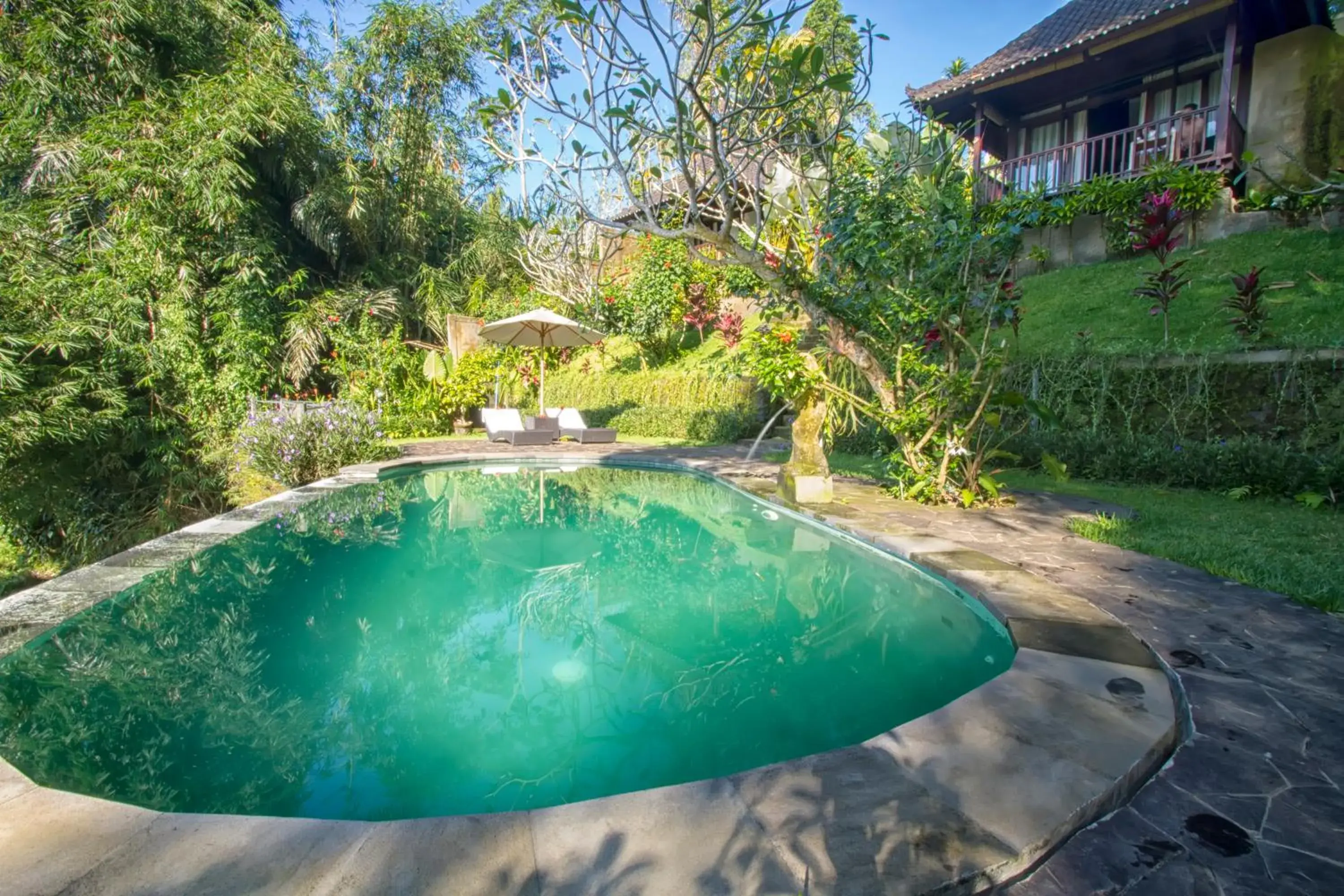 Swimming pool in Villa Wedang Swimming pool in Villa Wedang