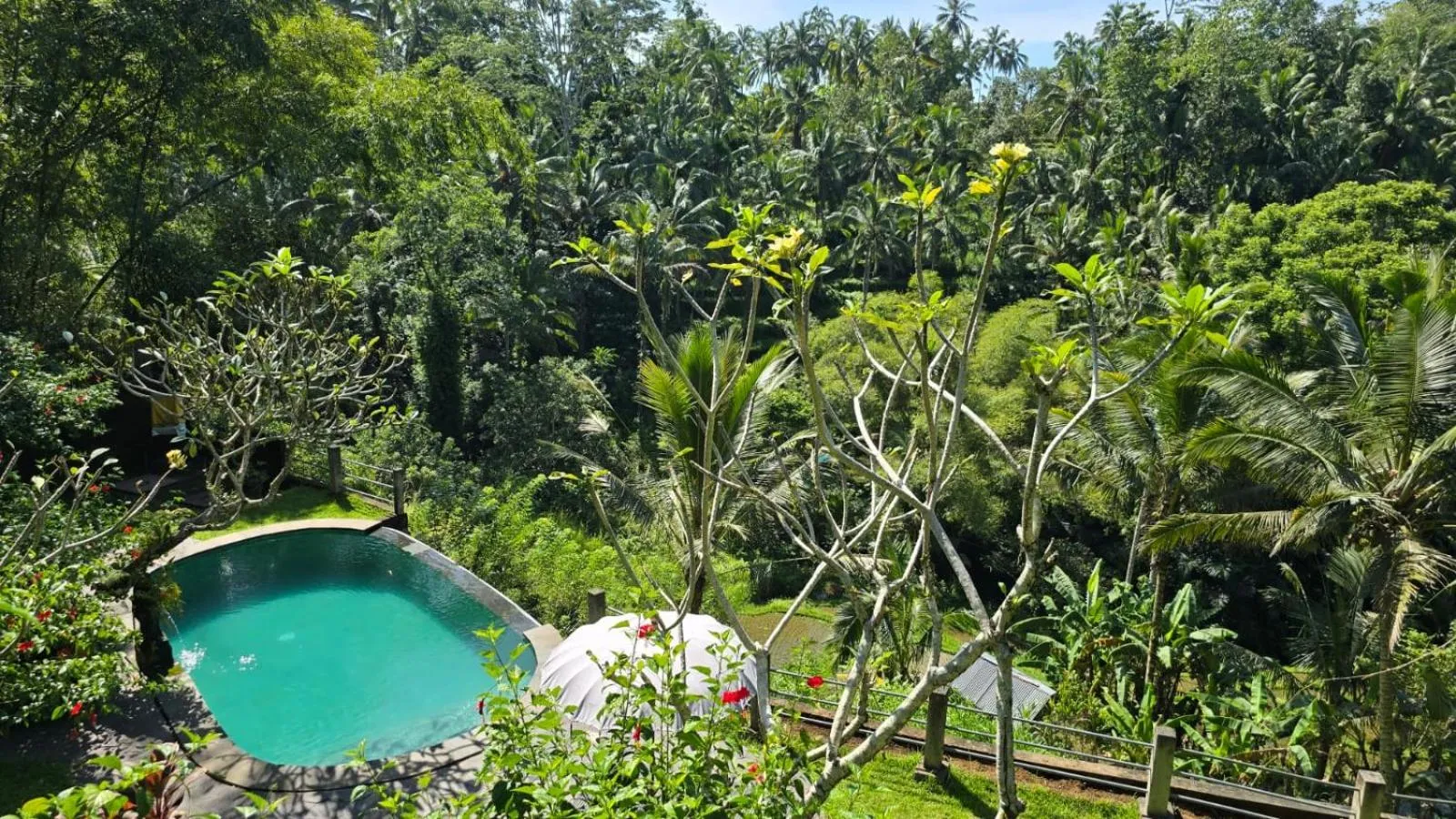 Swimming pool in Villa Wedang
