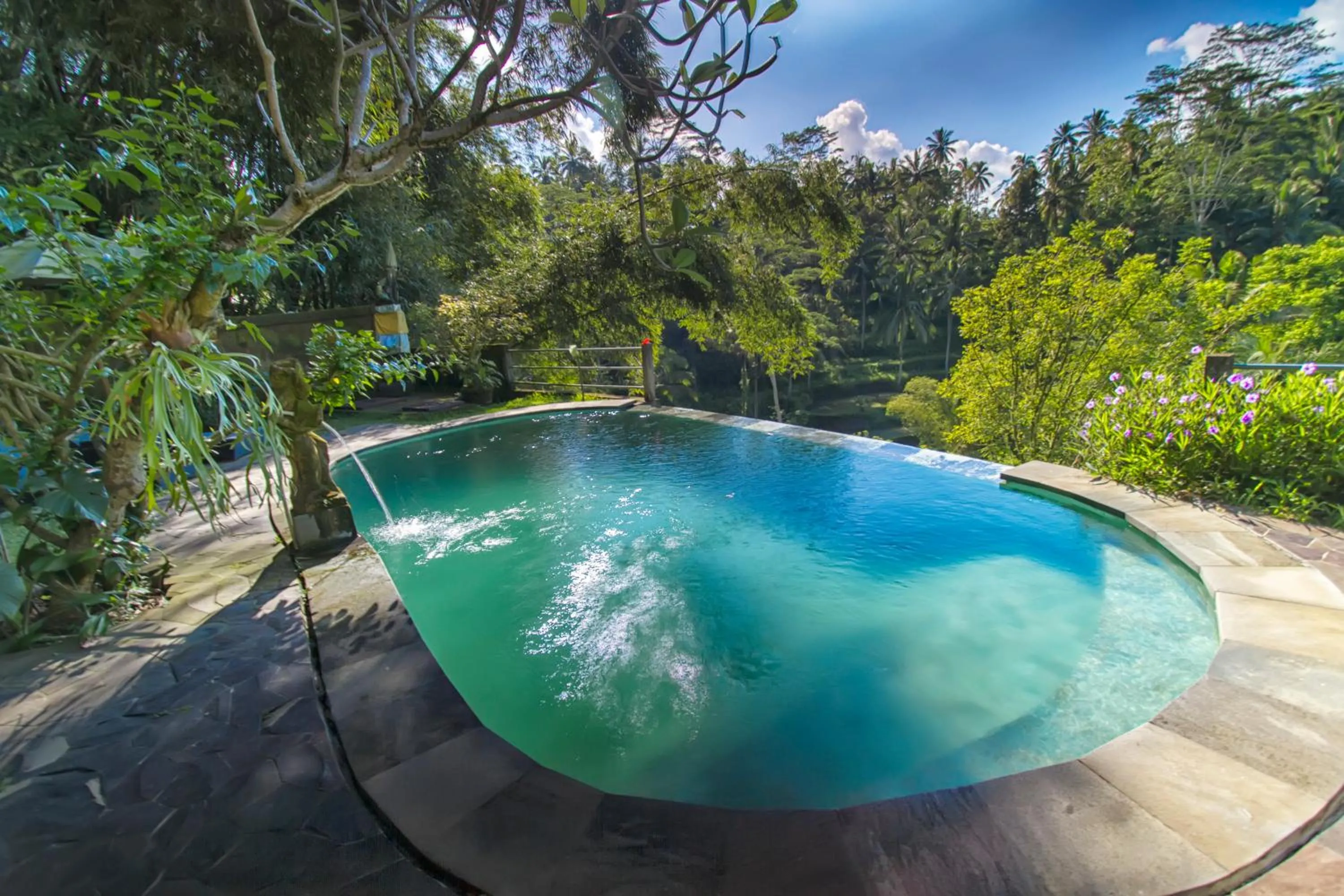 Pool view in Villa Wedang