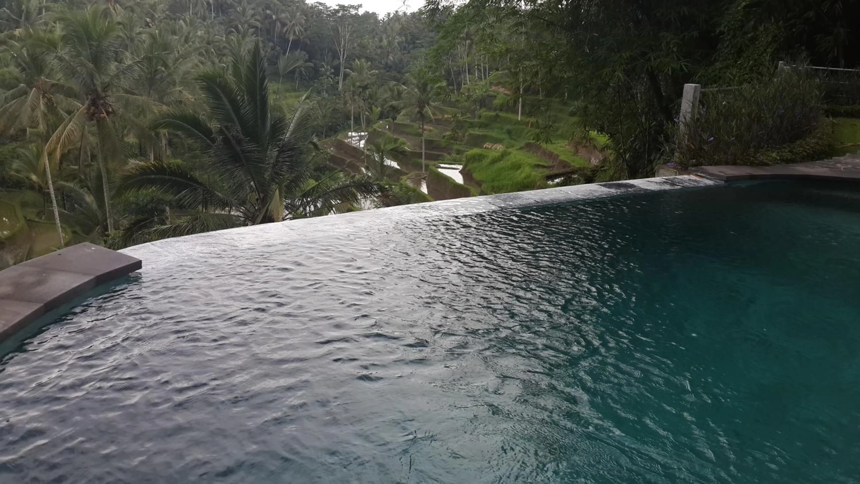 Swimming pool in Villa Wedang