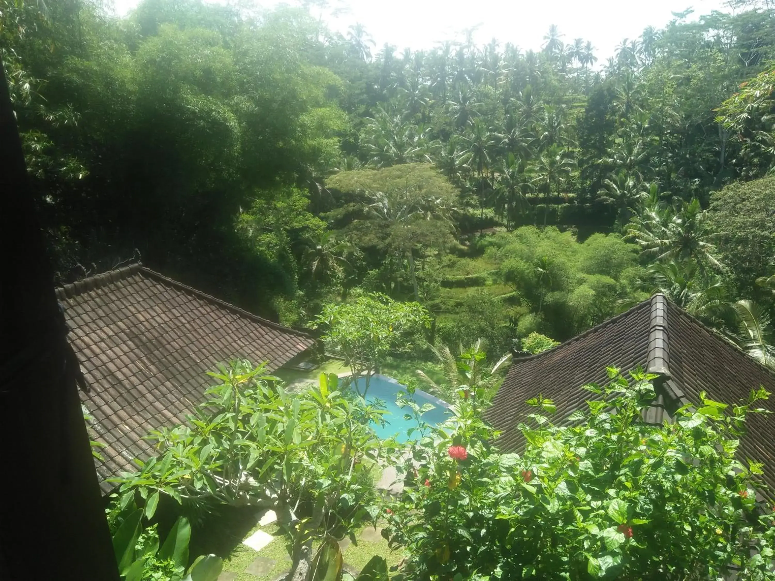 View (from property/room) in Villa Wedang View (from property/room) in Villa Wedang