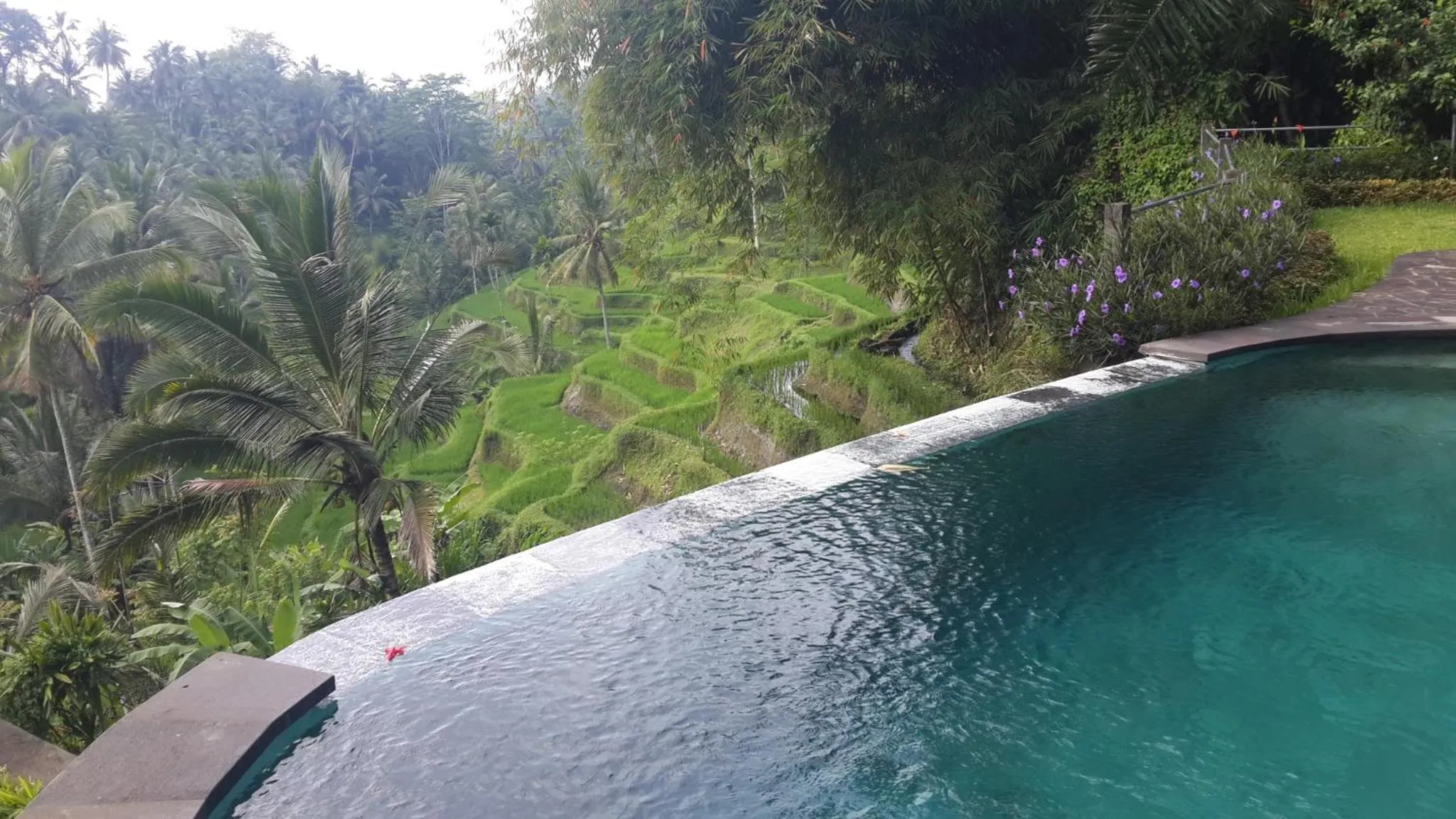 Natural landscape in Villa Wedang