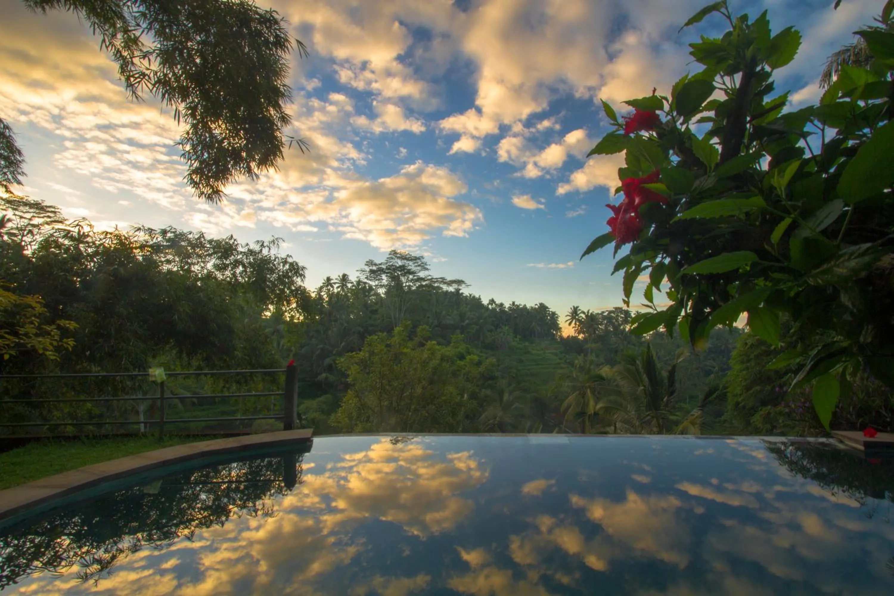 Swimming pool in Villa Wedang