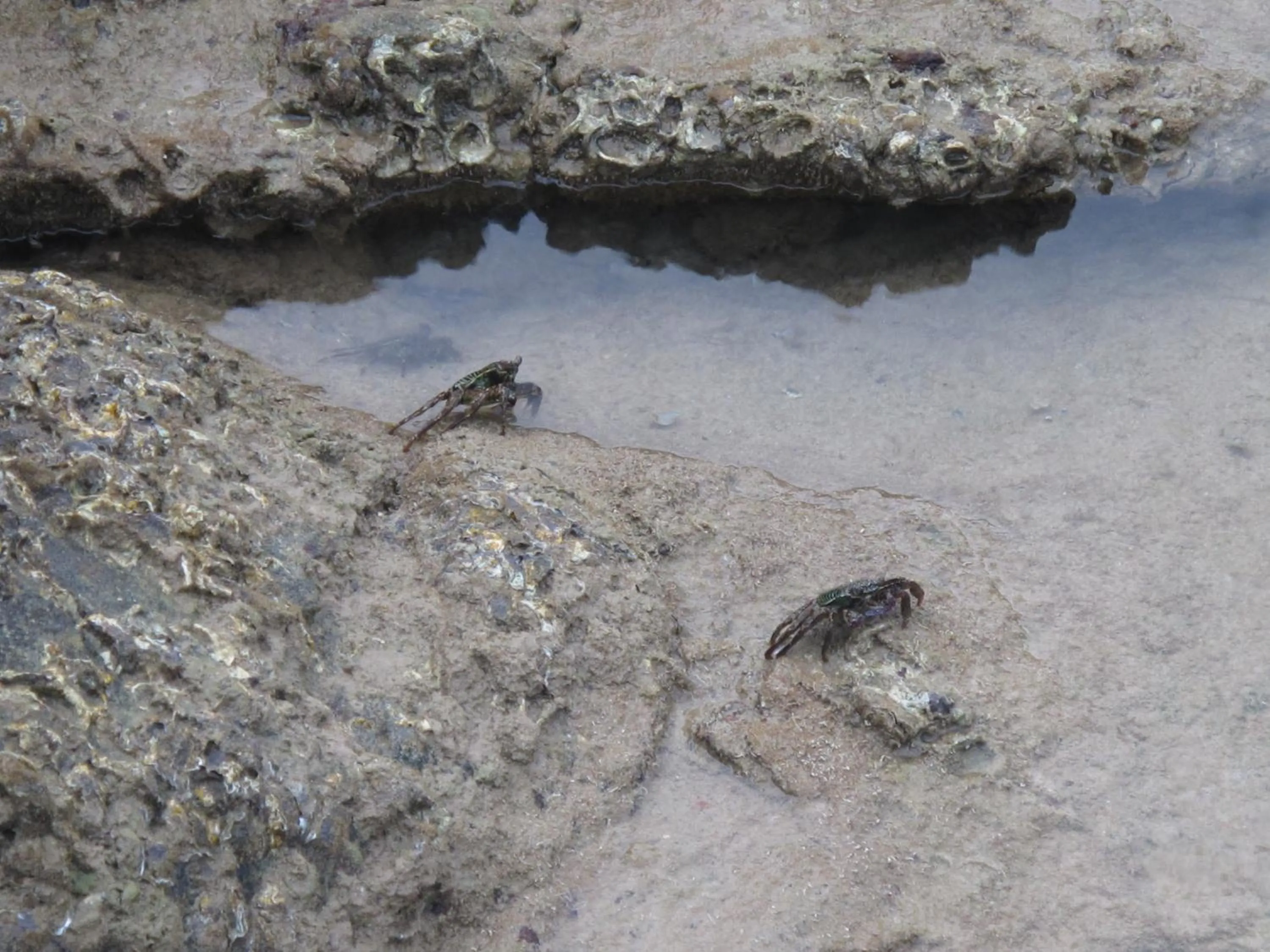 MJ Boutique Hotel Khao Lak