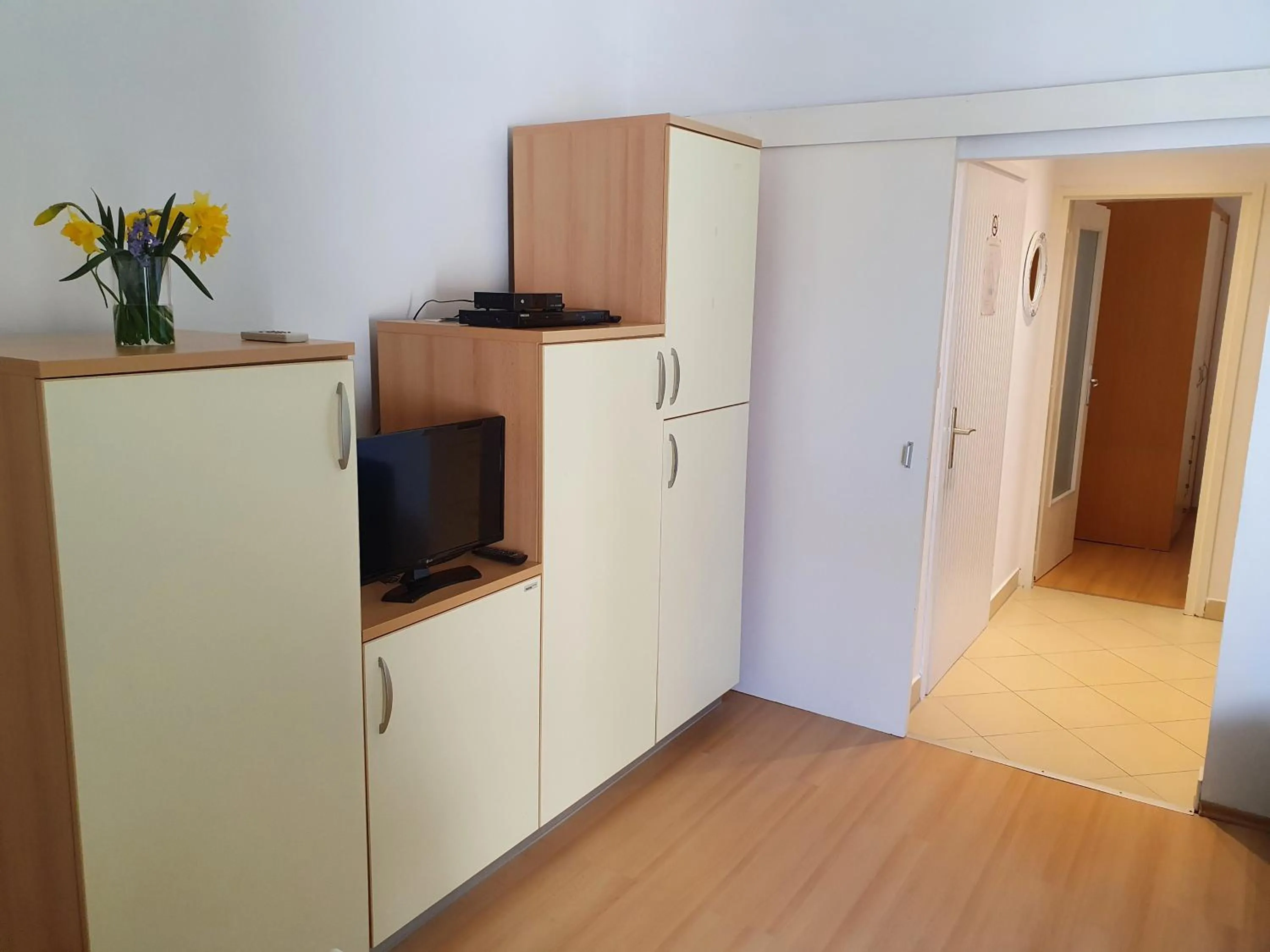 TV and multimedia in Janja Apartment