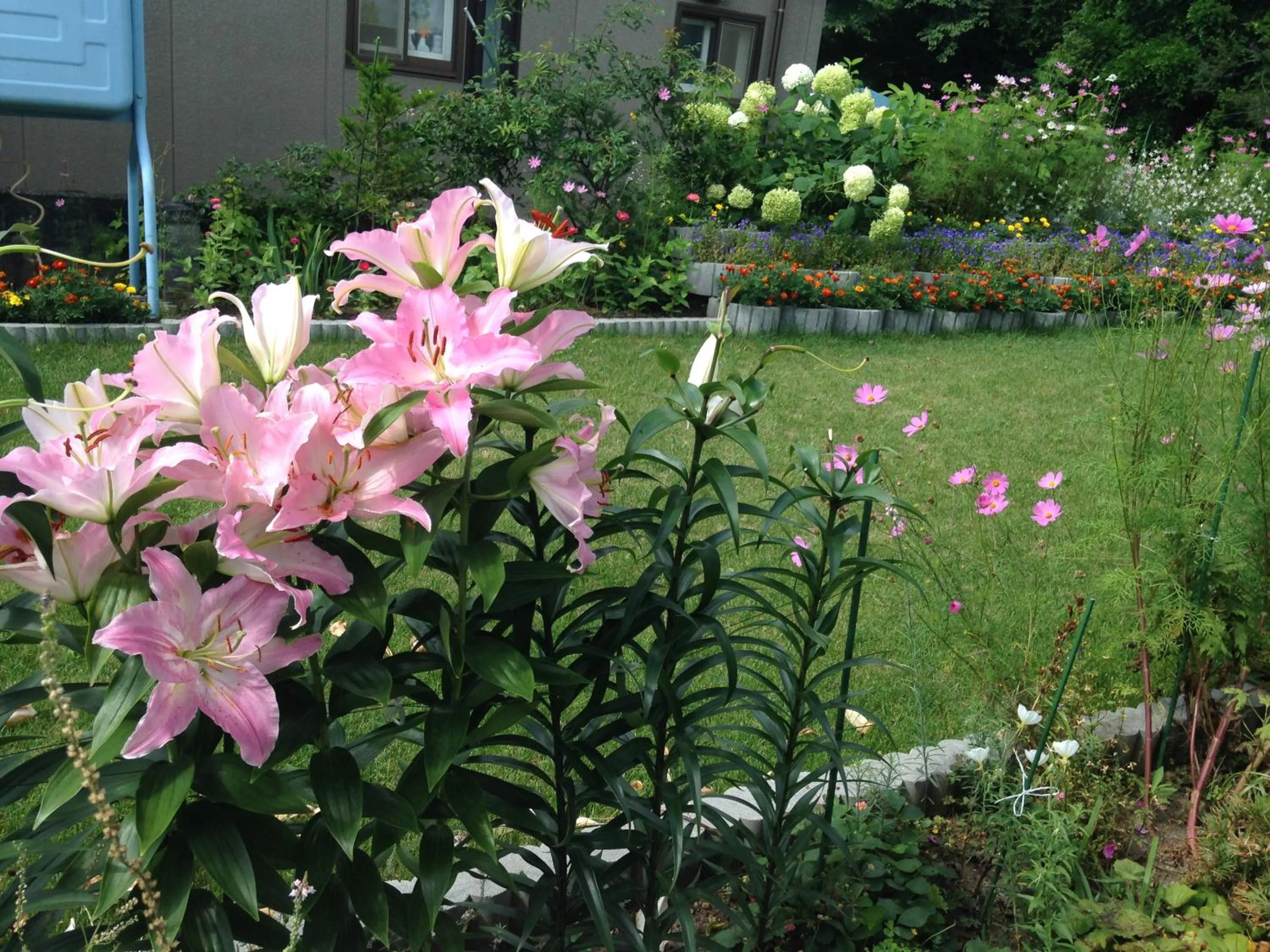 Garden view in Koukaso