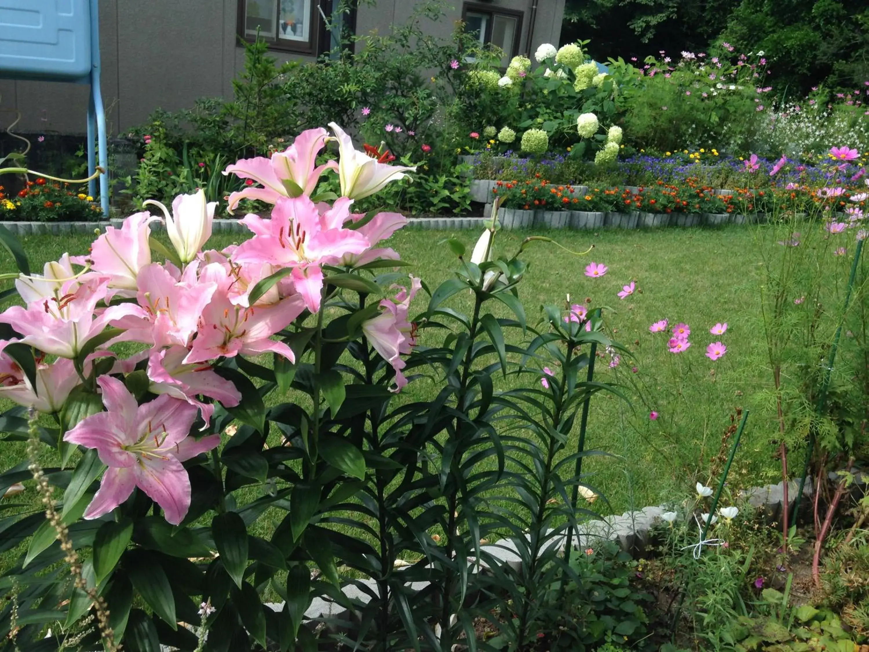 Garden view in Koukaso Garden view in Koukaso