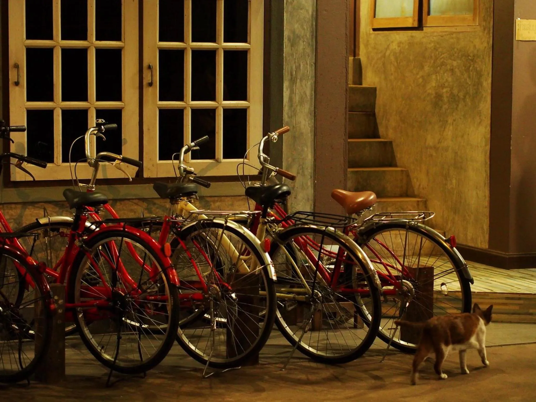 Cycling in Chommuang Guest House