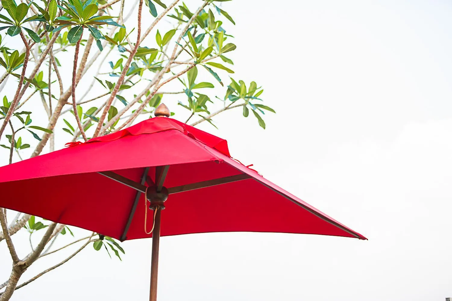 Other in Sunshine Hip Hotel