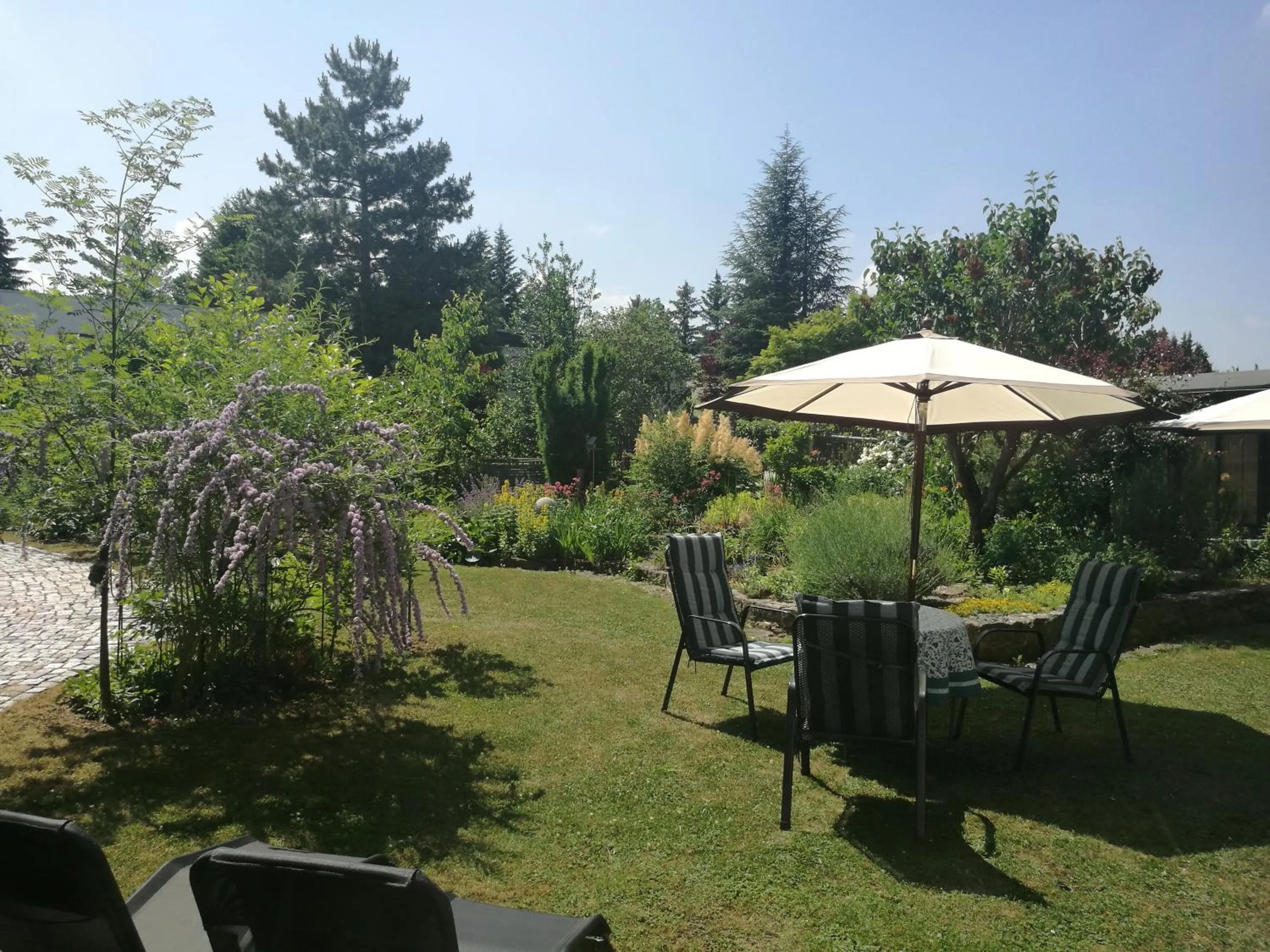 Garden view in Apartment HAUS MERLIN am Böckelsberg