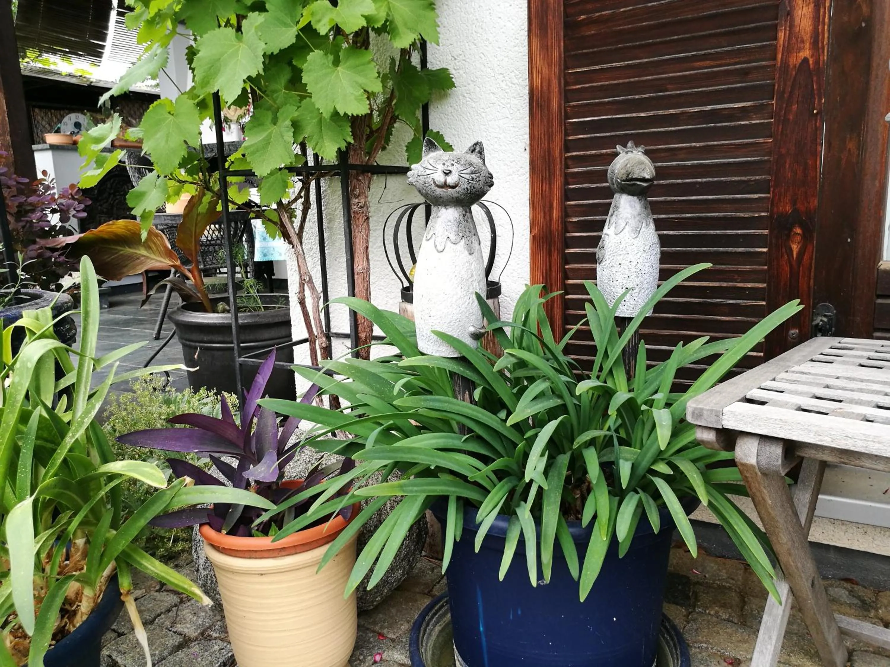 Garden in Apartment HAUS MERLIN am Böckelsberg