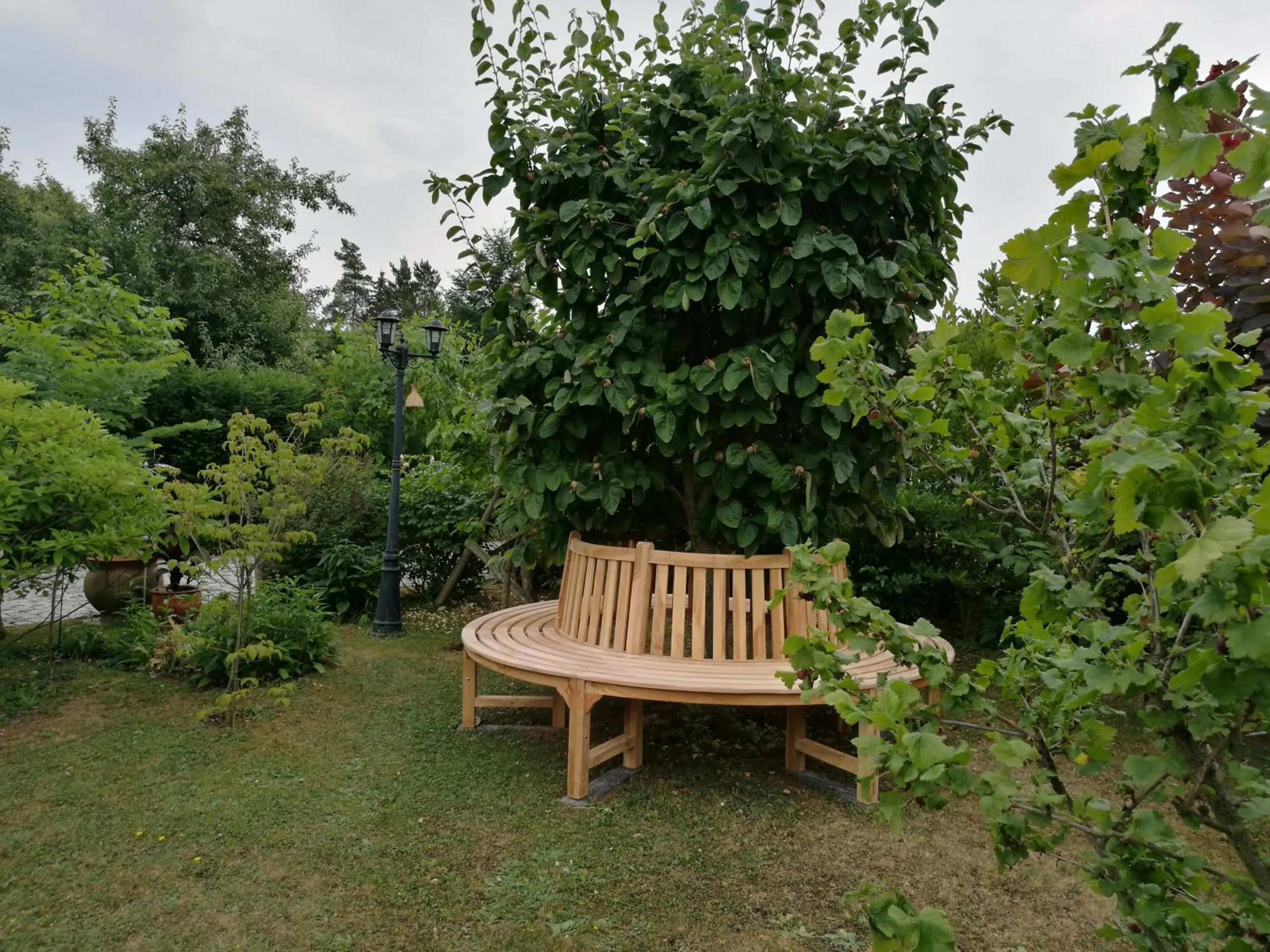 Garden in Apartment HAUS MERLIN am Böckelsberg