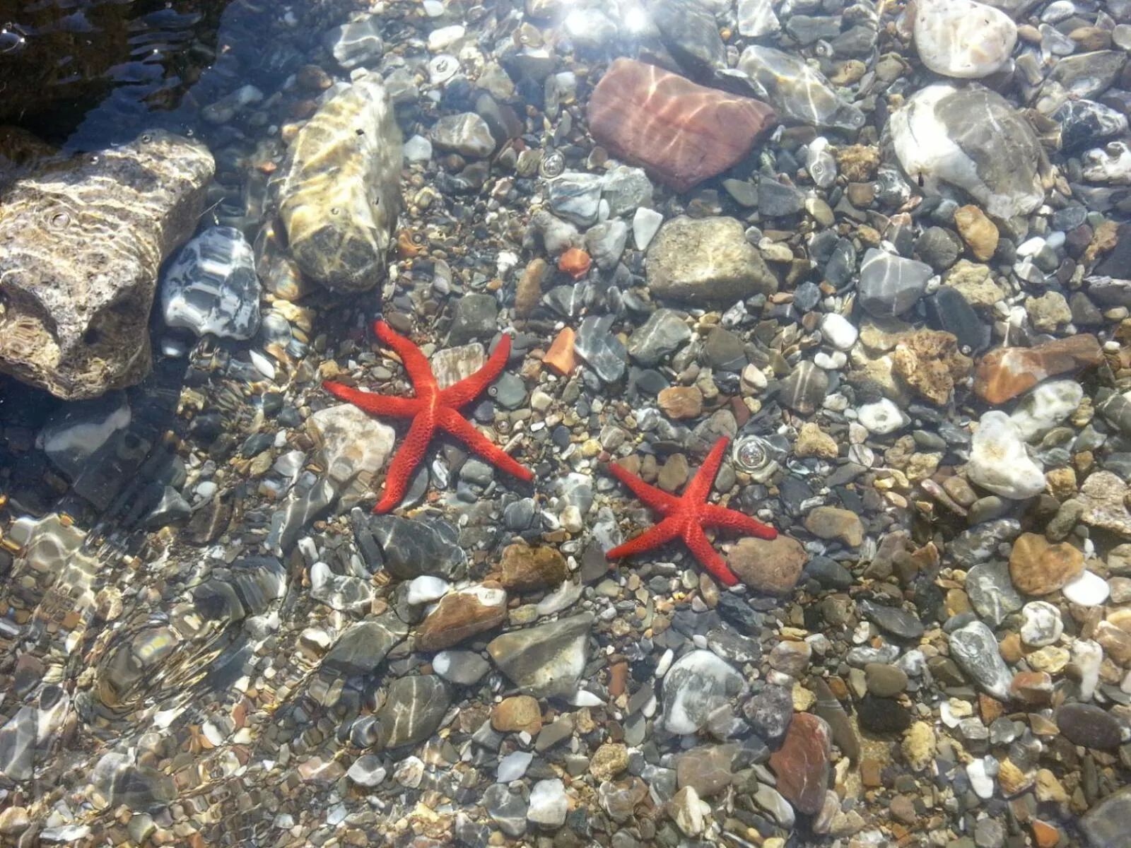 On site in Cala Dei Mori