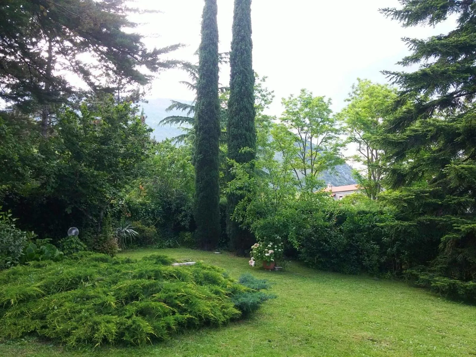 Garden in B&B Gocciaverde