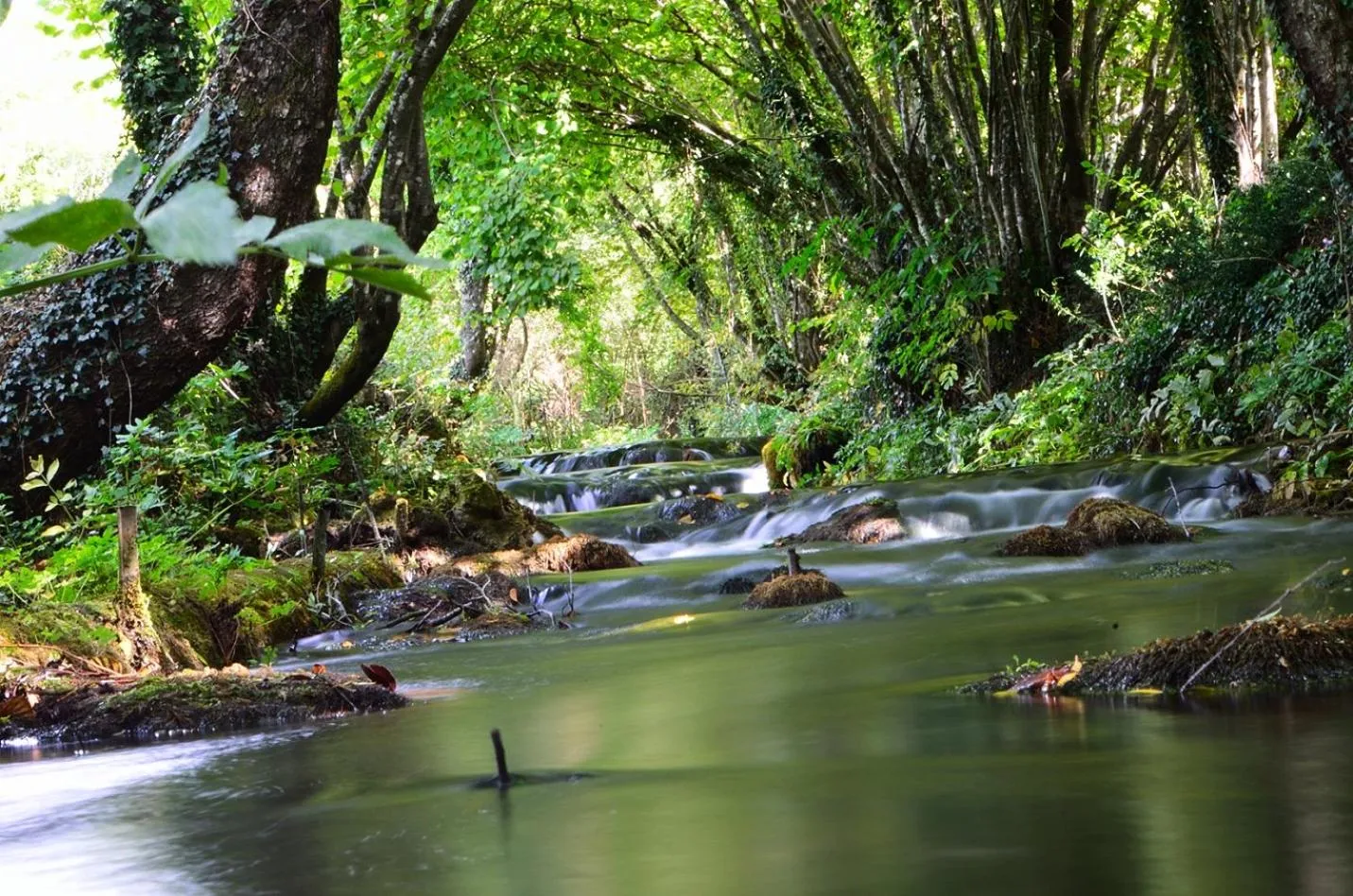 Nearby landmark in B&B Gocciaverde