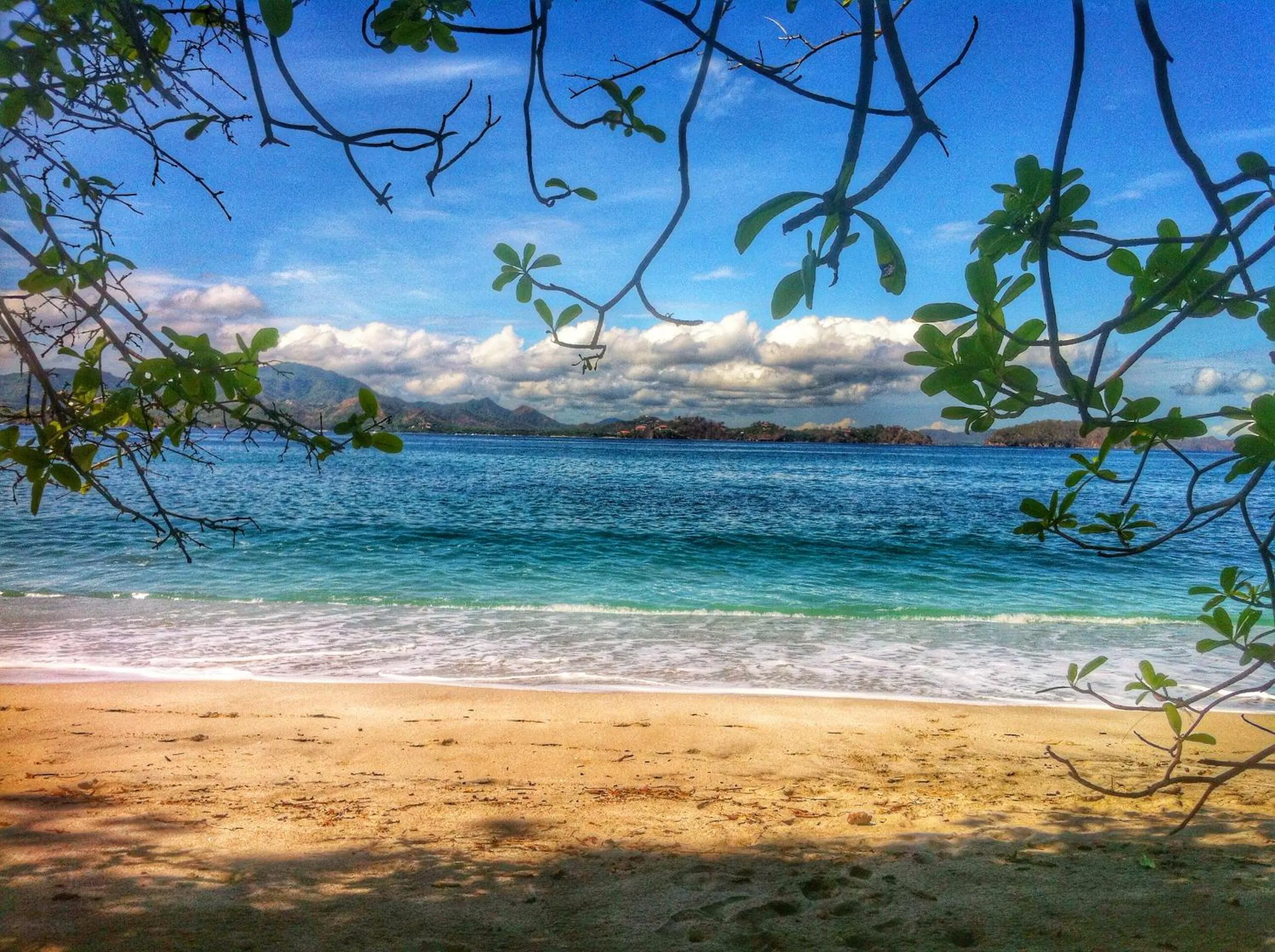 Beach in In the Shade Hotel - Coworking - 300Mbit - Adults Only