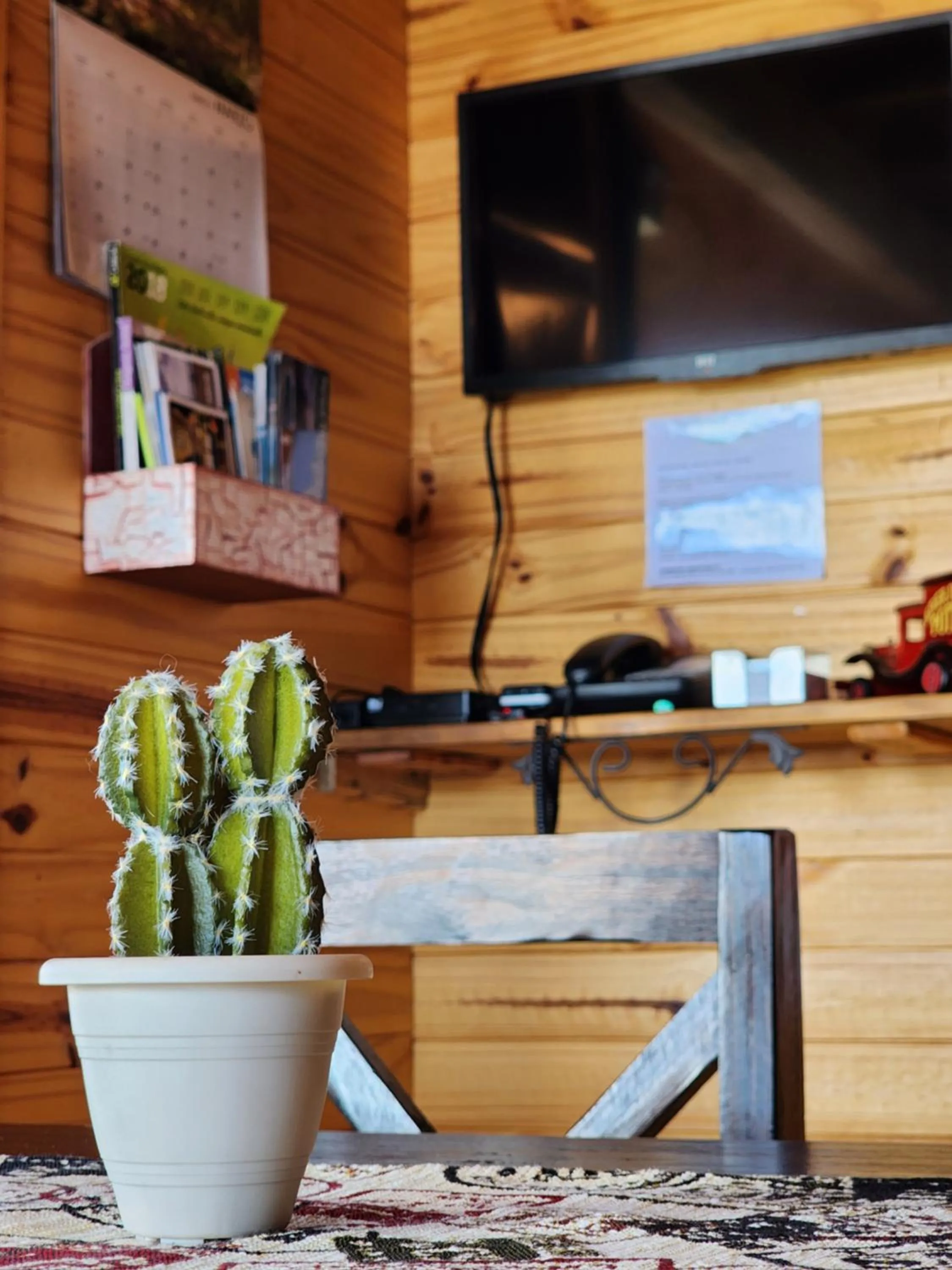 TV and multimedia in Cabañas Alechen