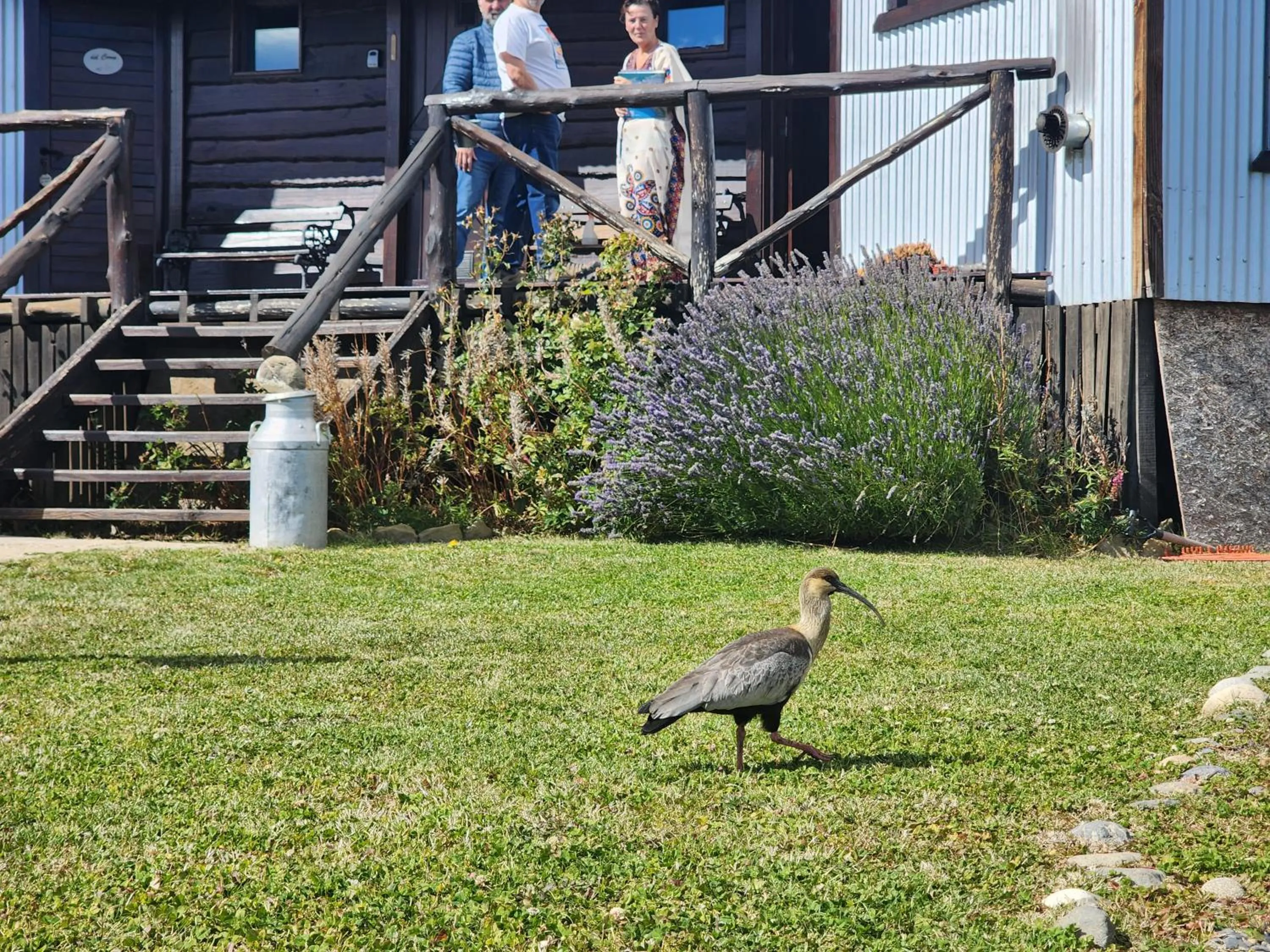 Spring in Cabañas Alechen