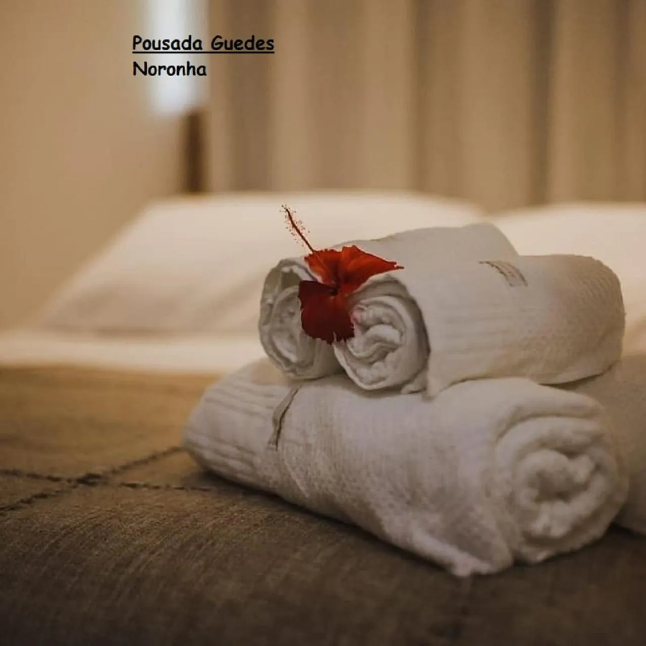 Decorative detail, Bed in Pousada Guedes Noronha