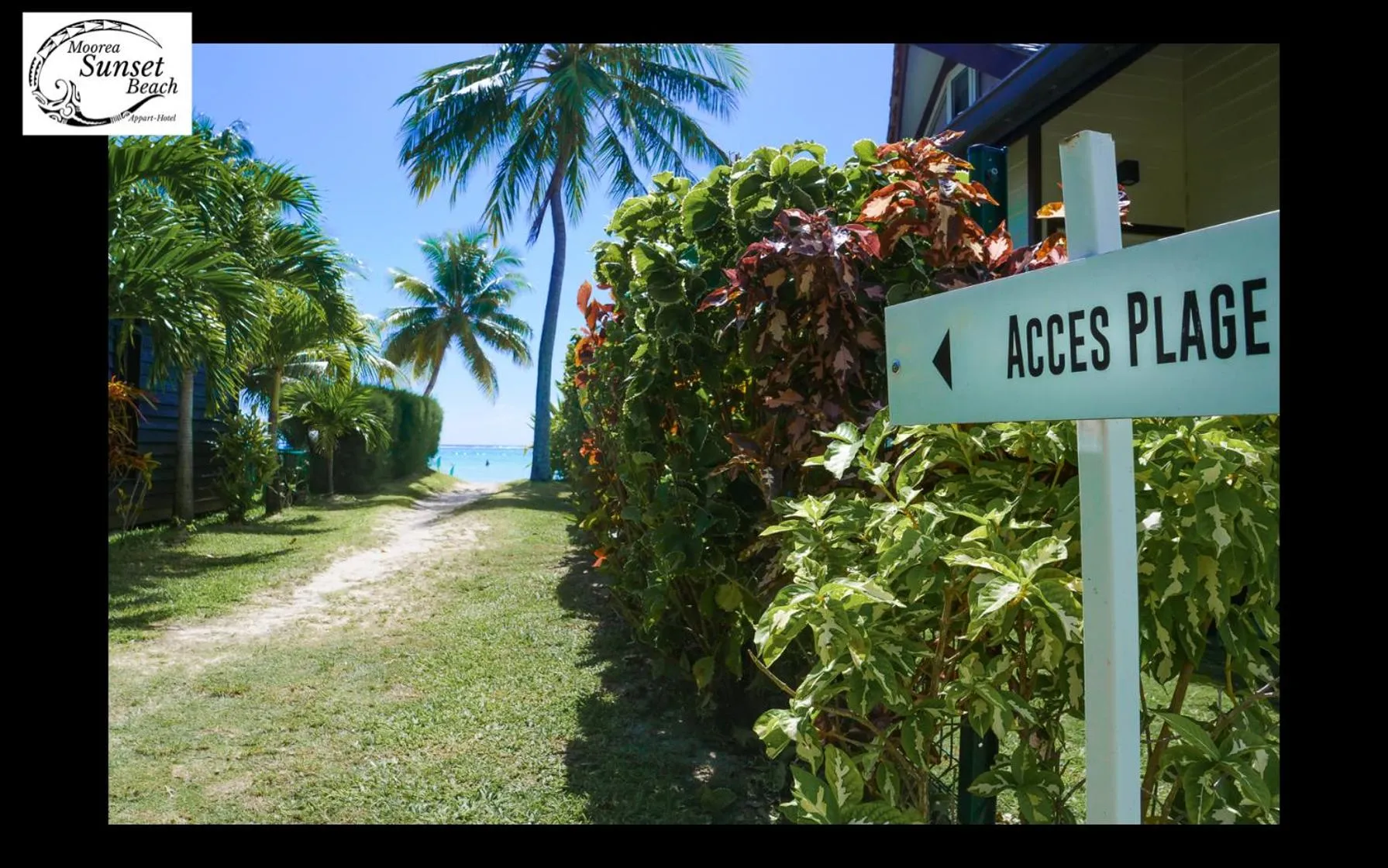 Natural landscape in Moorea Sunset Beach