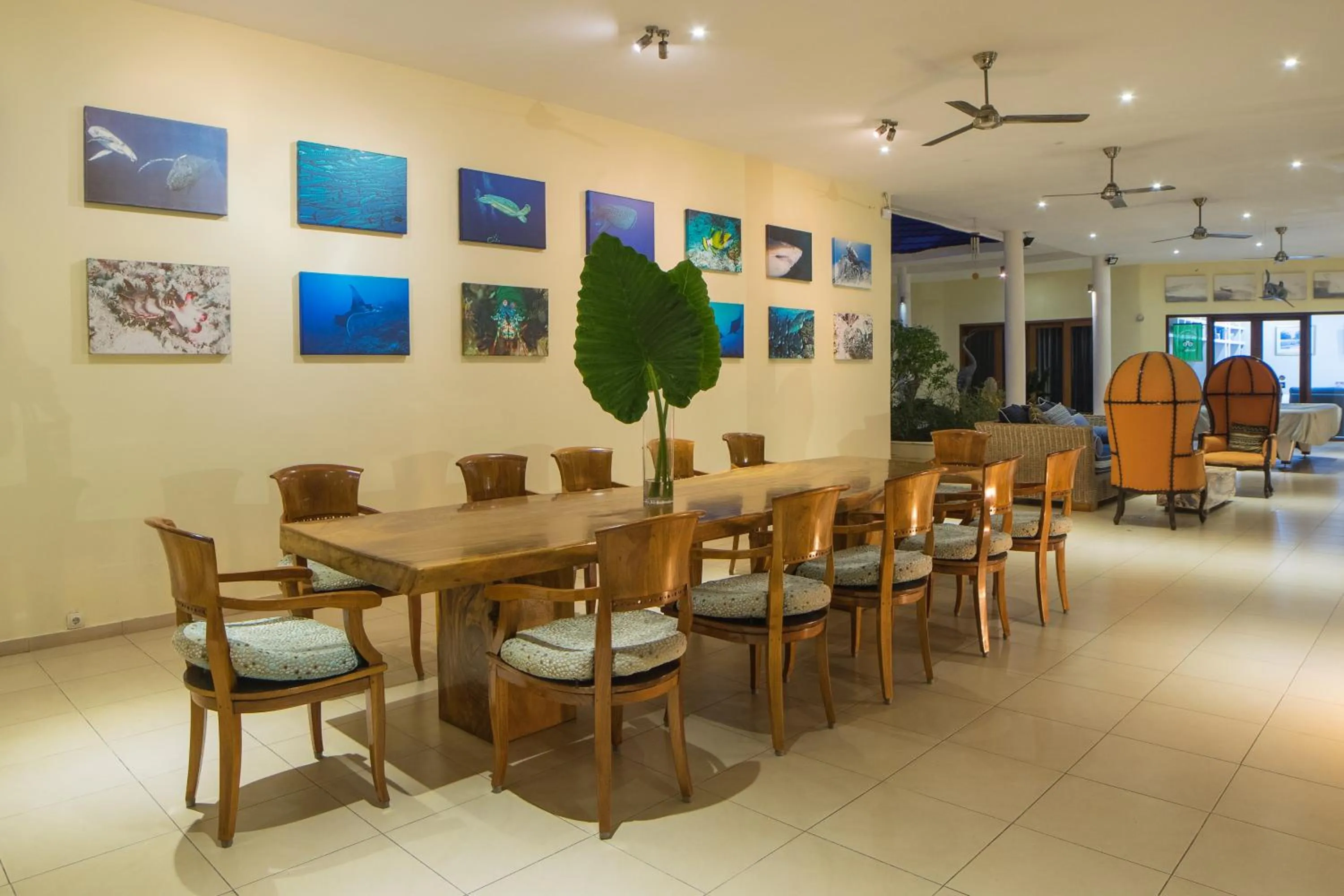 Patio in Villa Costa Plenty