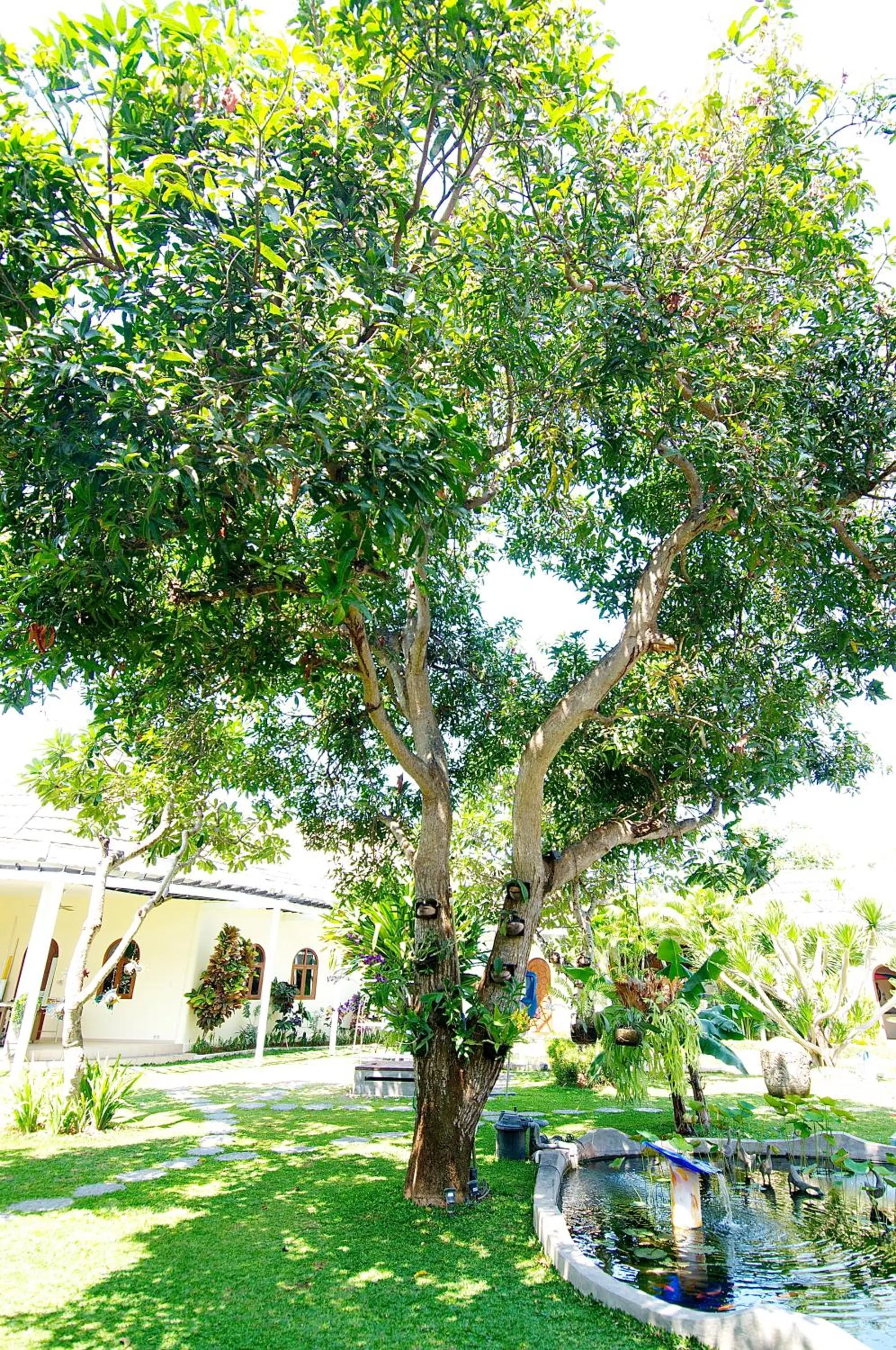 Garden view in Villa Costa Plenty