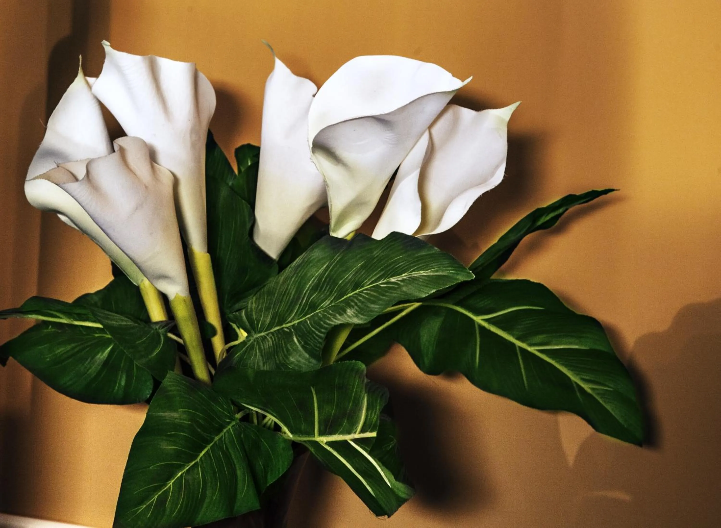 Decorative detail in Art Fashion House Luxury Rooms